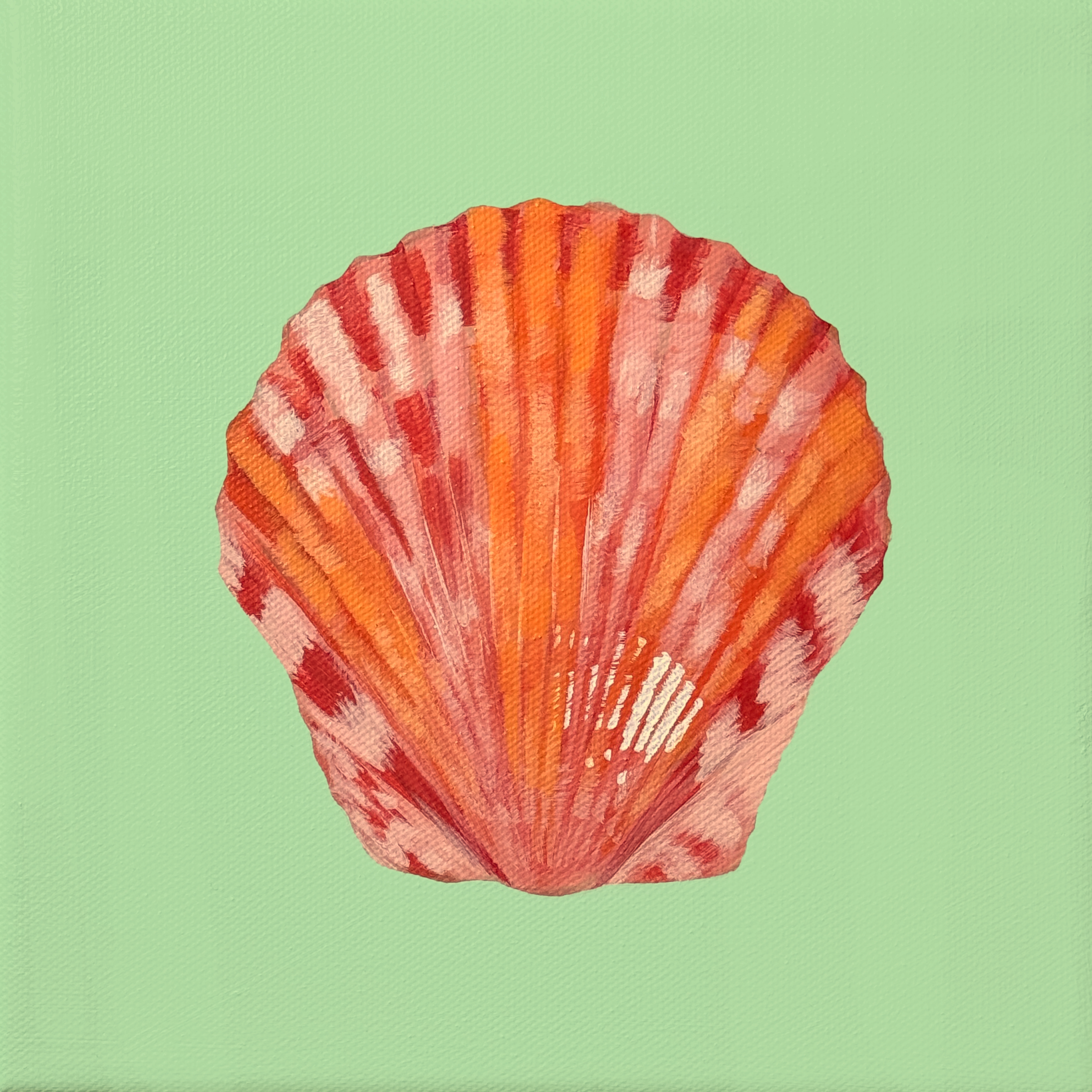 Scallop No. 2.png
