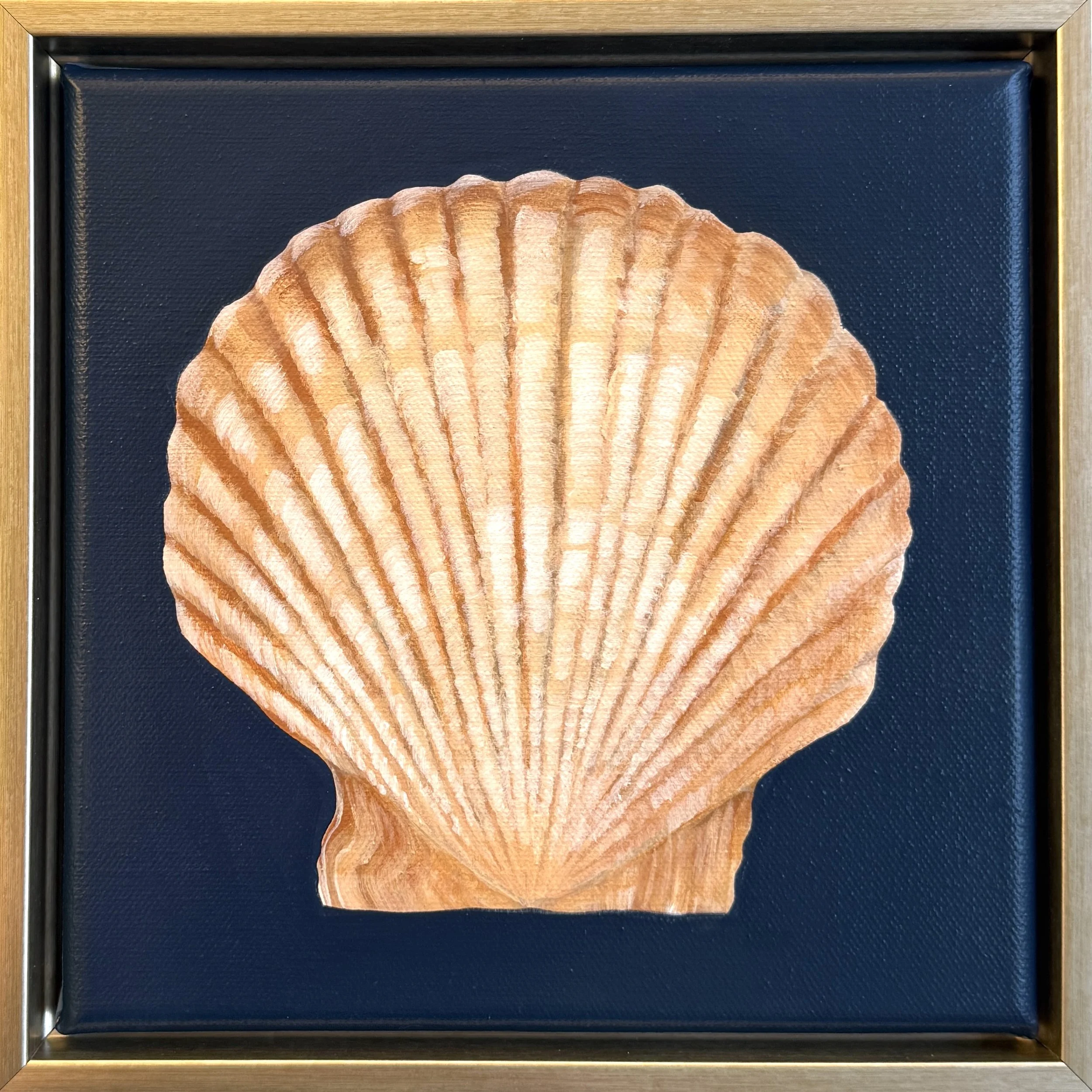 Coastal Scallop.jpg