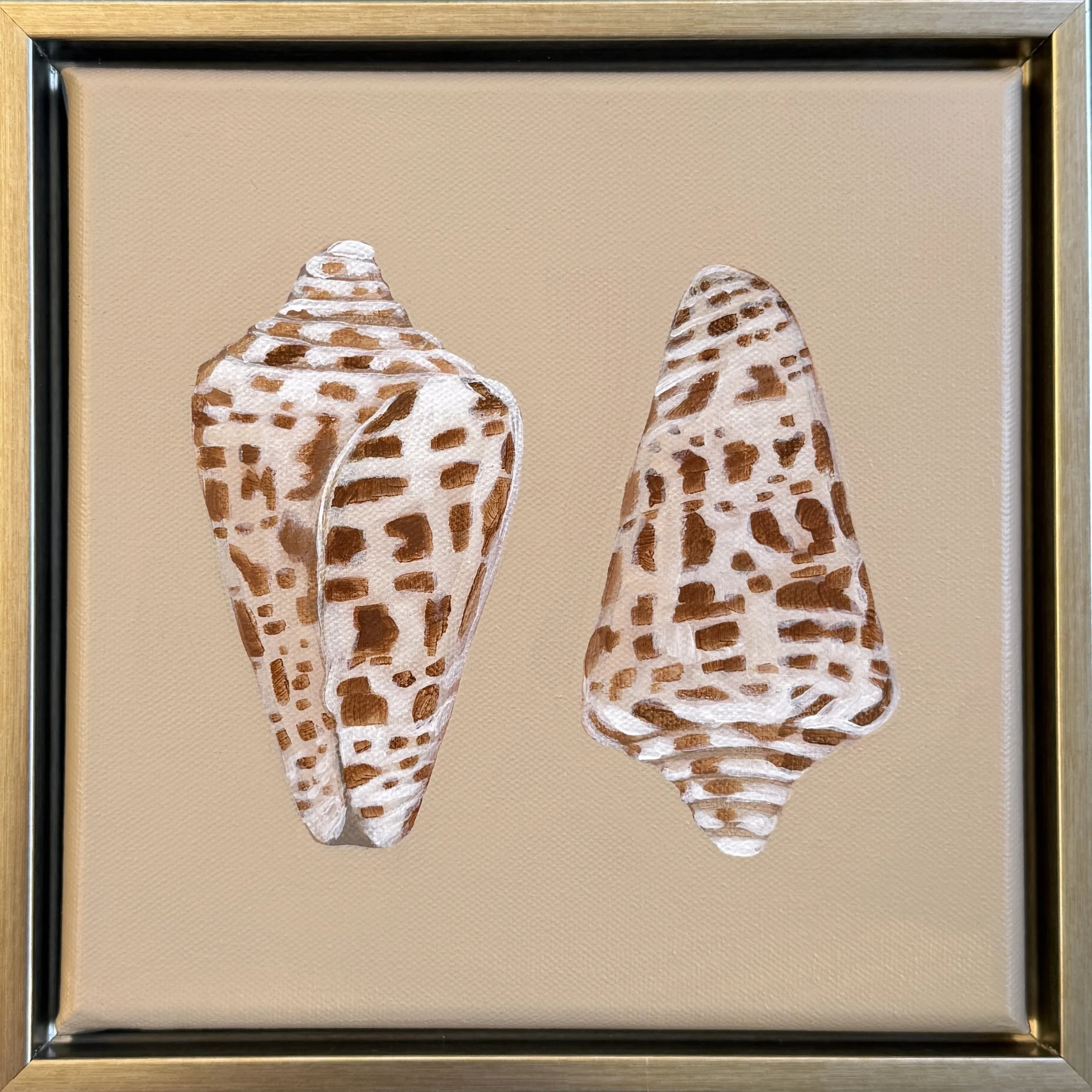 Alphabet Cone Pair.jpg