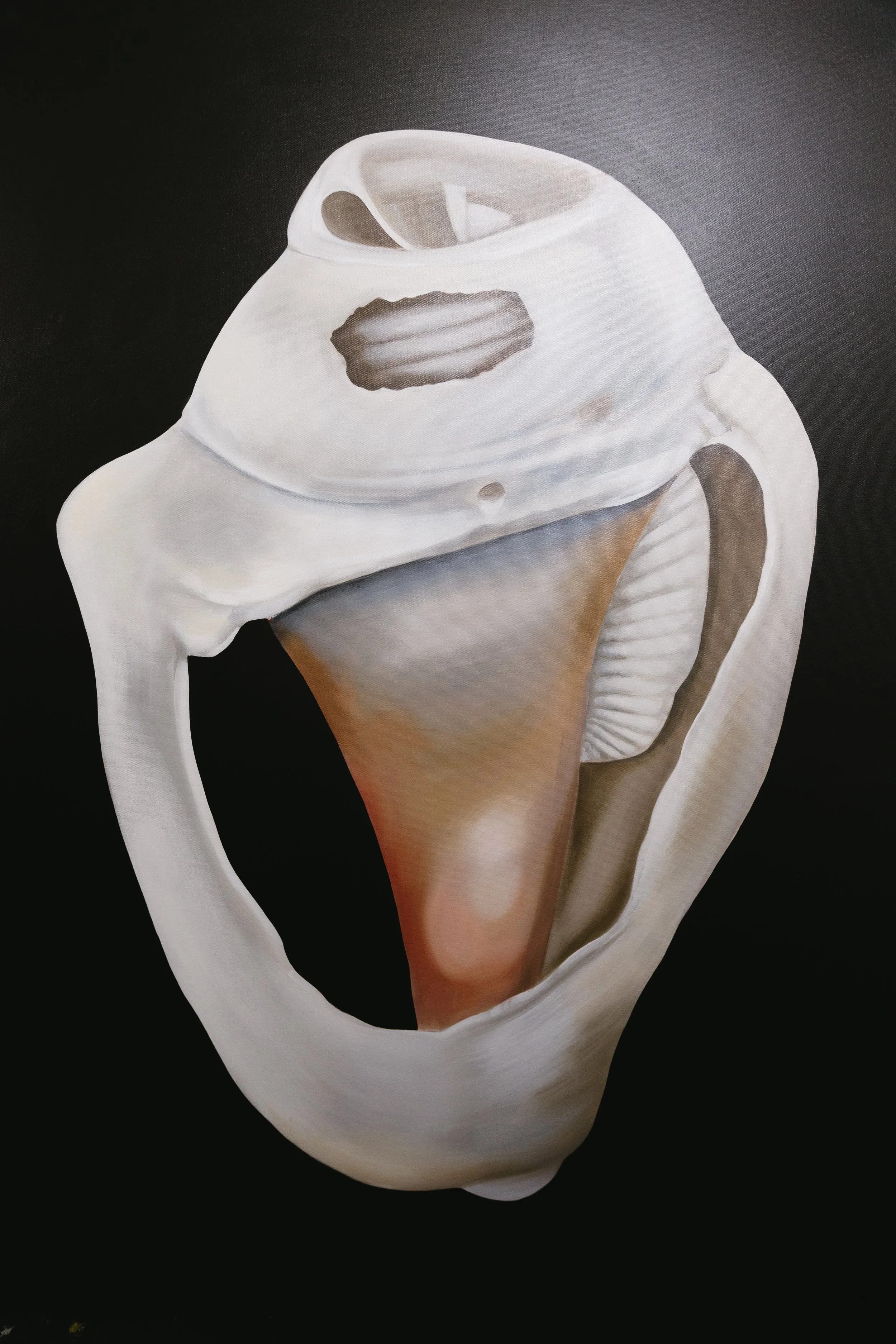 SHELL NO. 7
