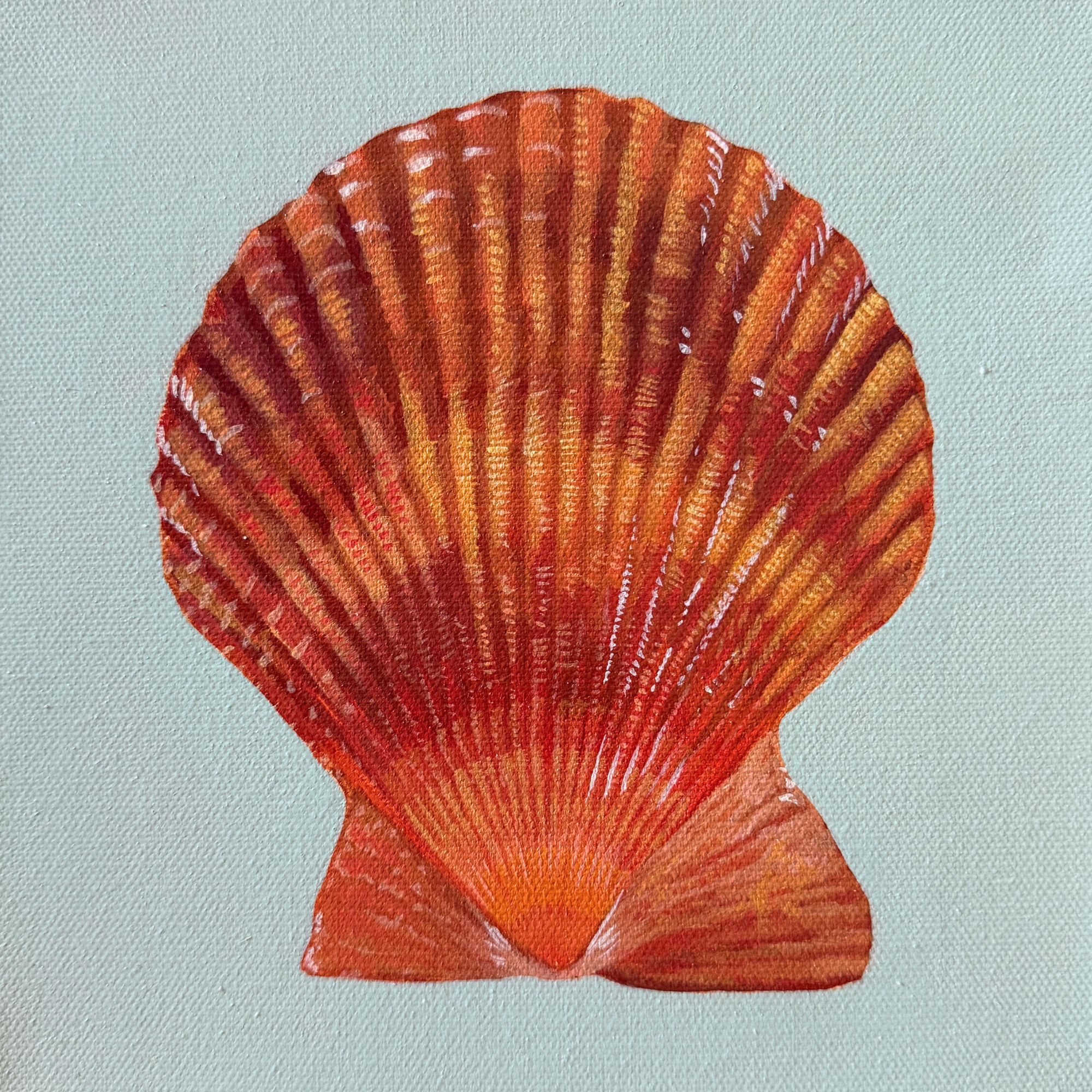 Scallop No. 1