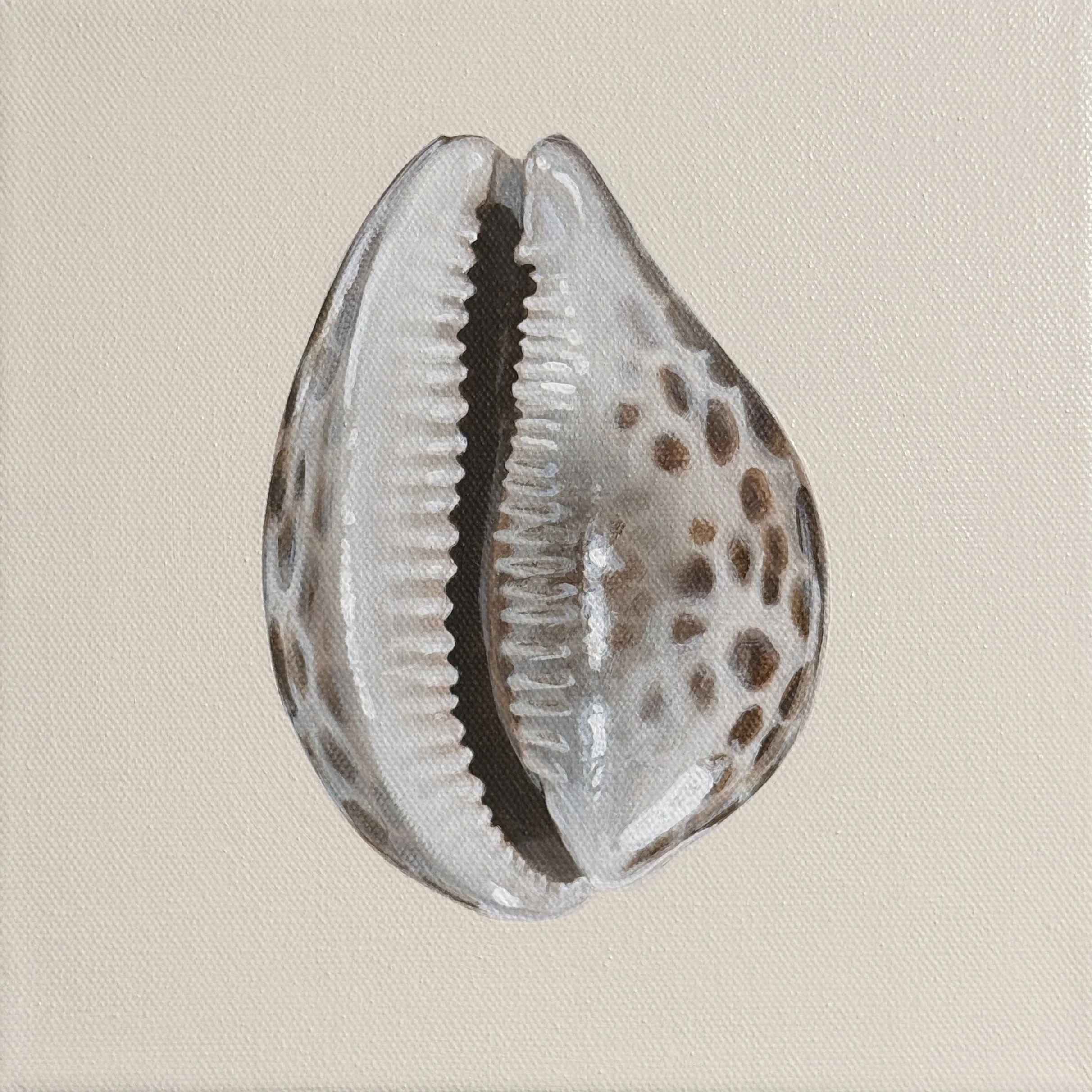 Cowrie