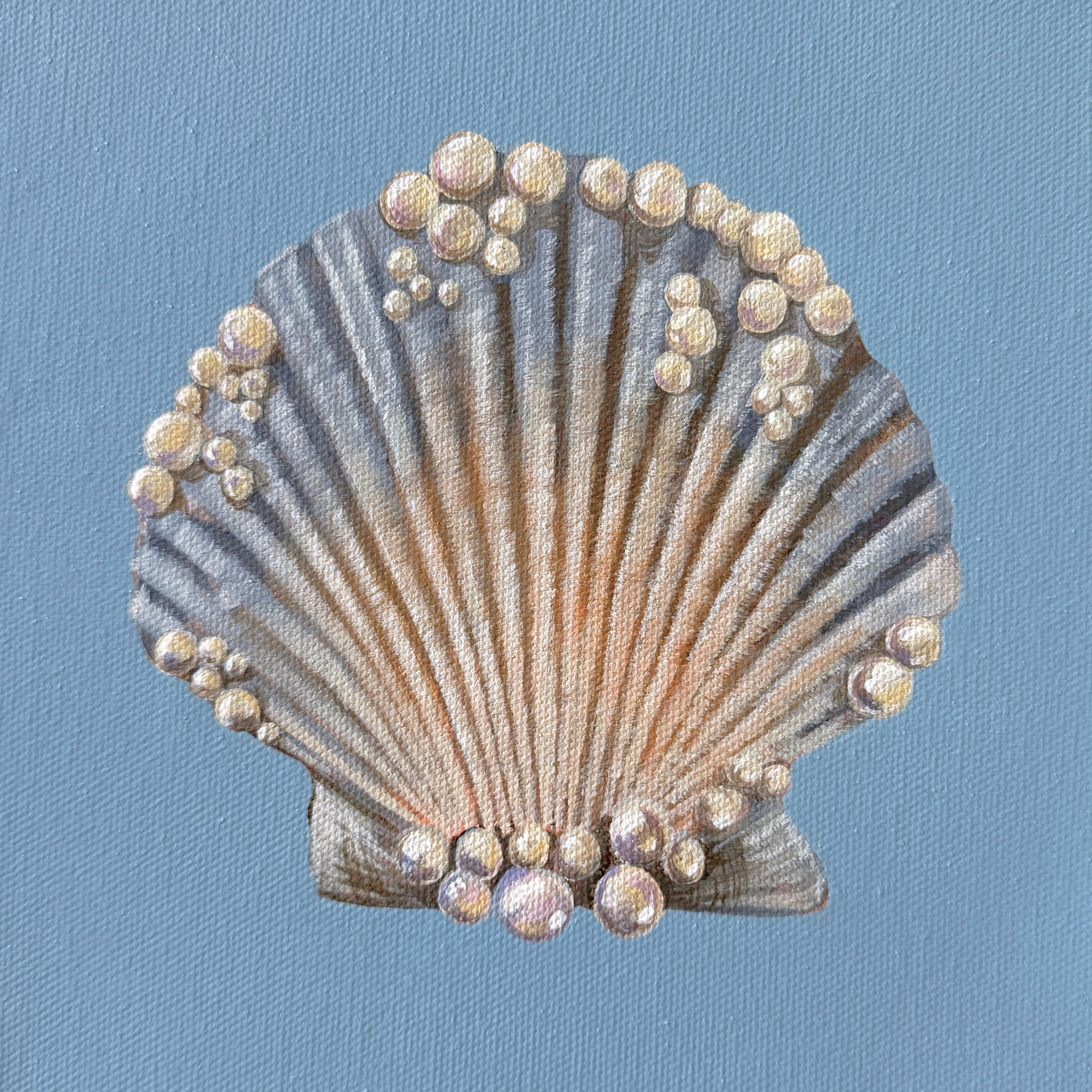 Pearl Scallop