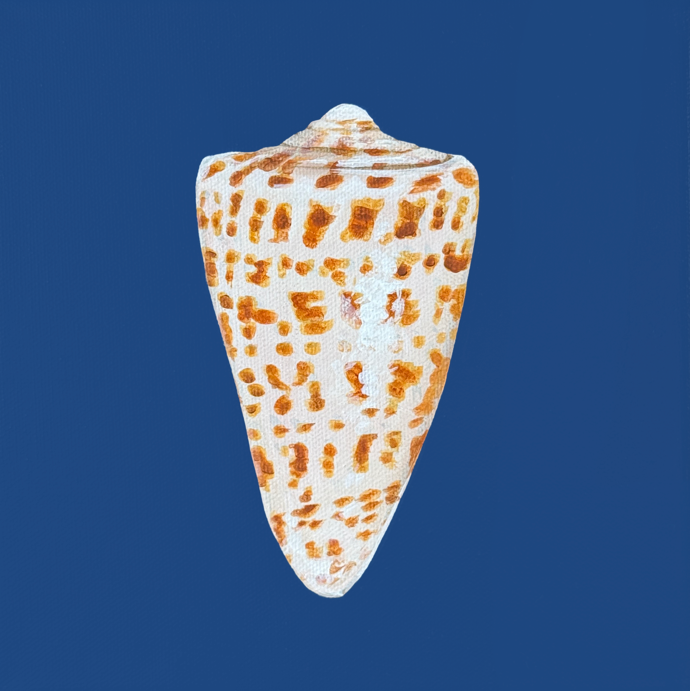 Alphabet Cone.png