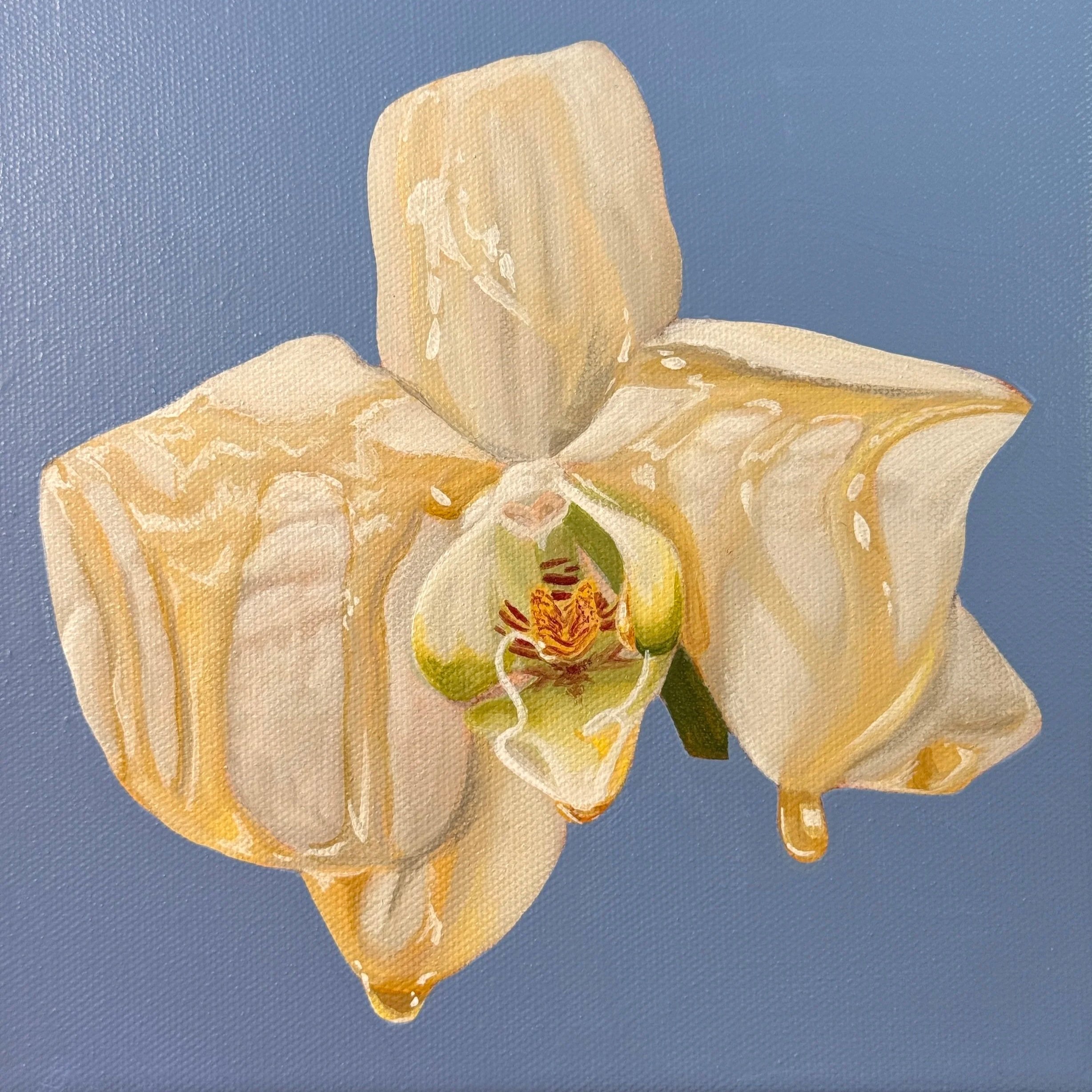 white orchid (mini)