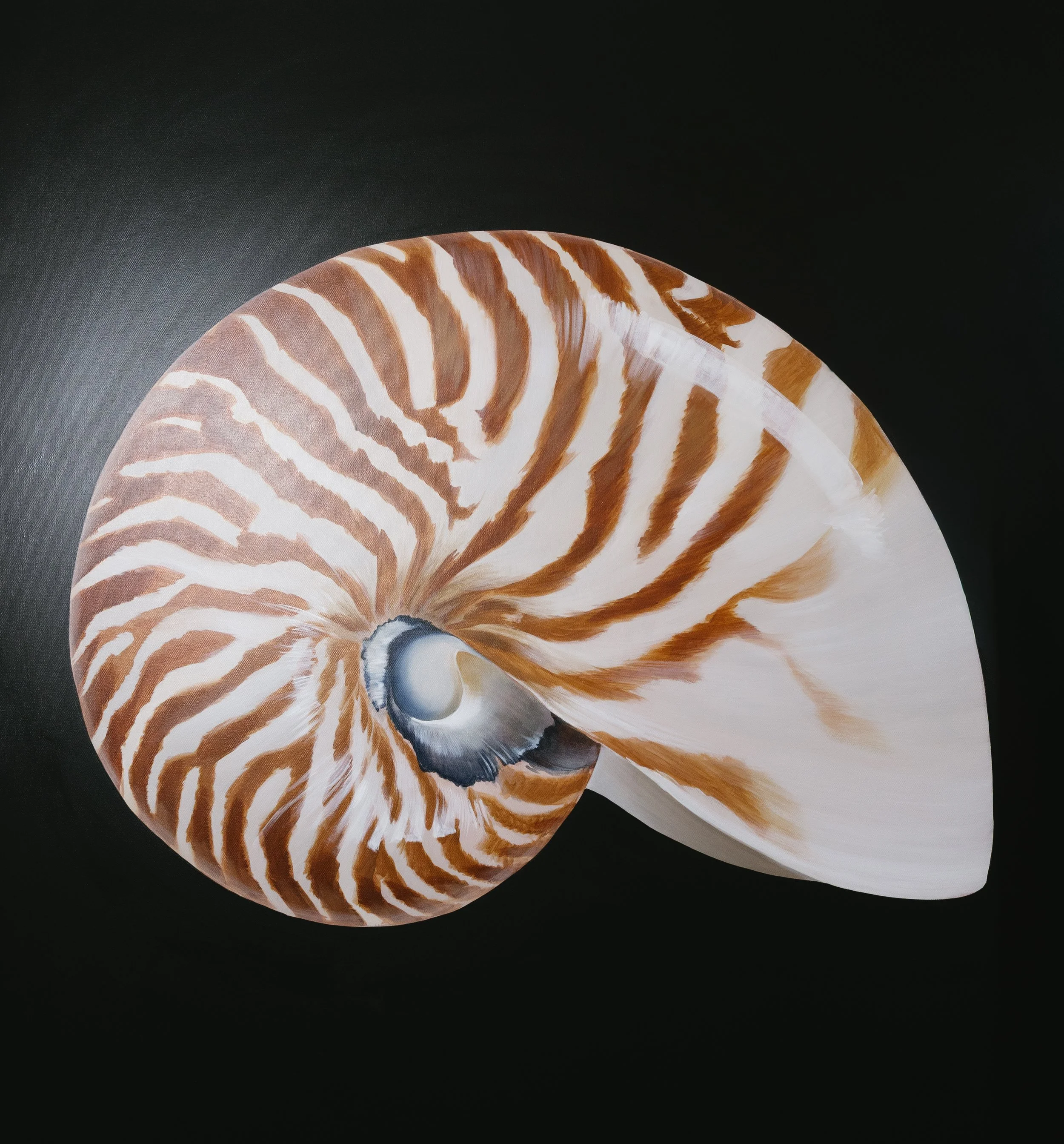 NAUTILUS