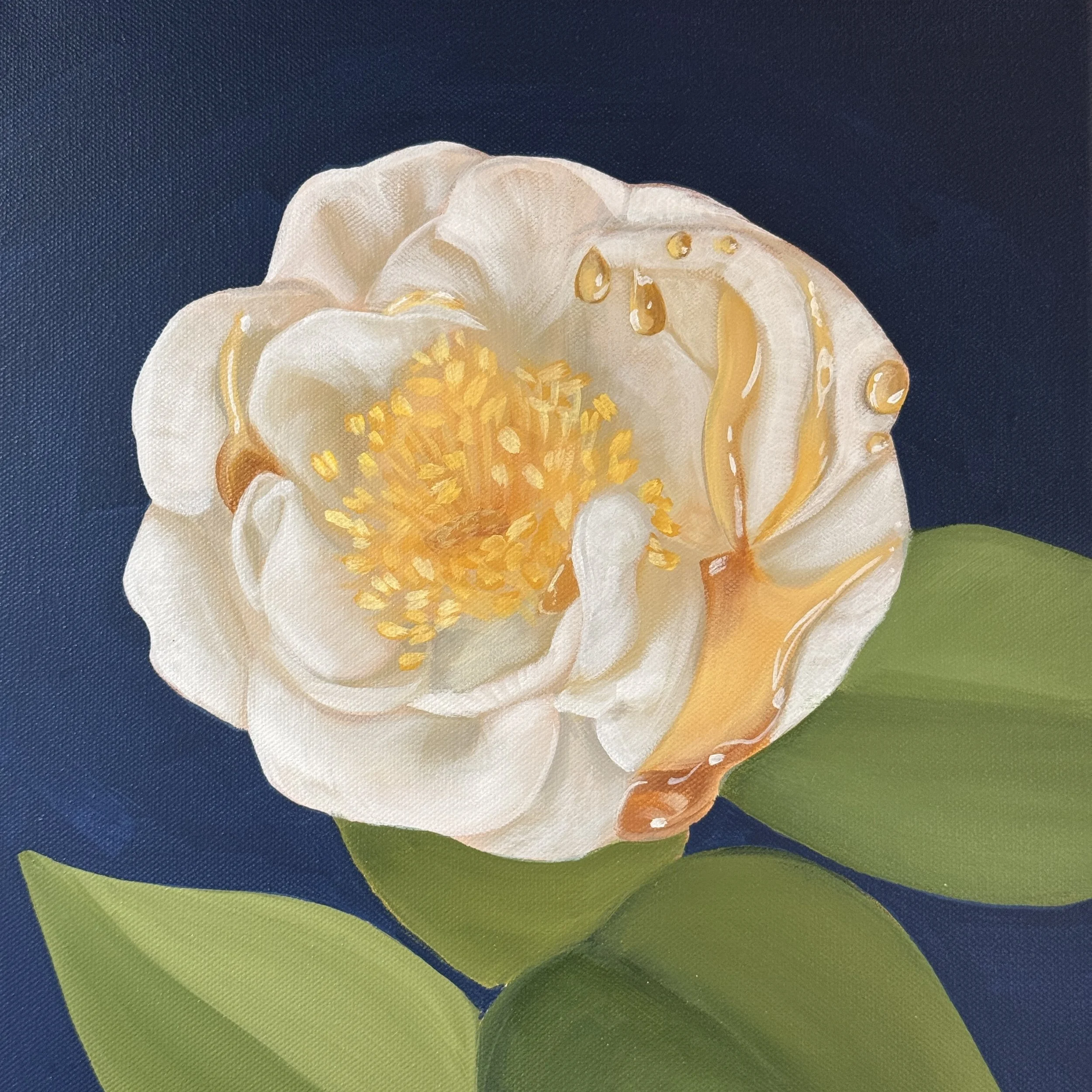 white camellia