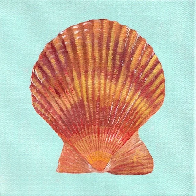 Scallop No. 1