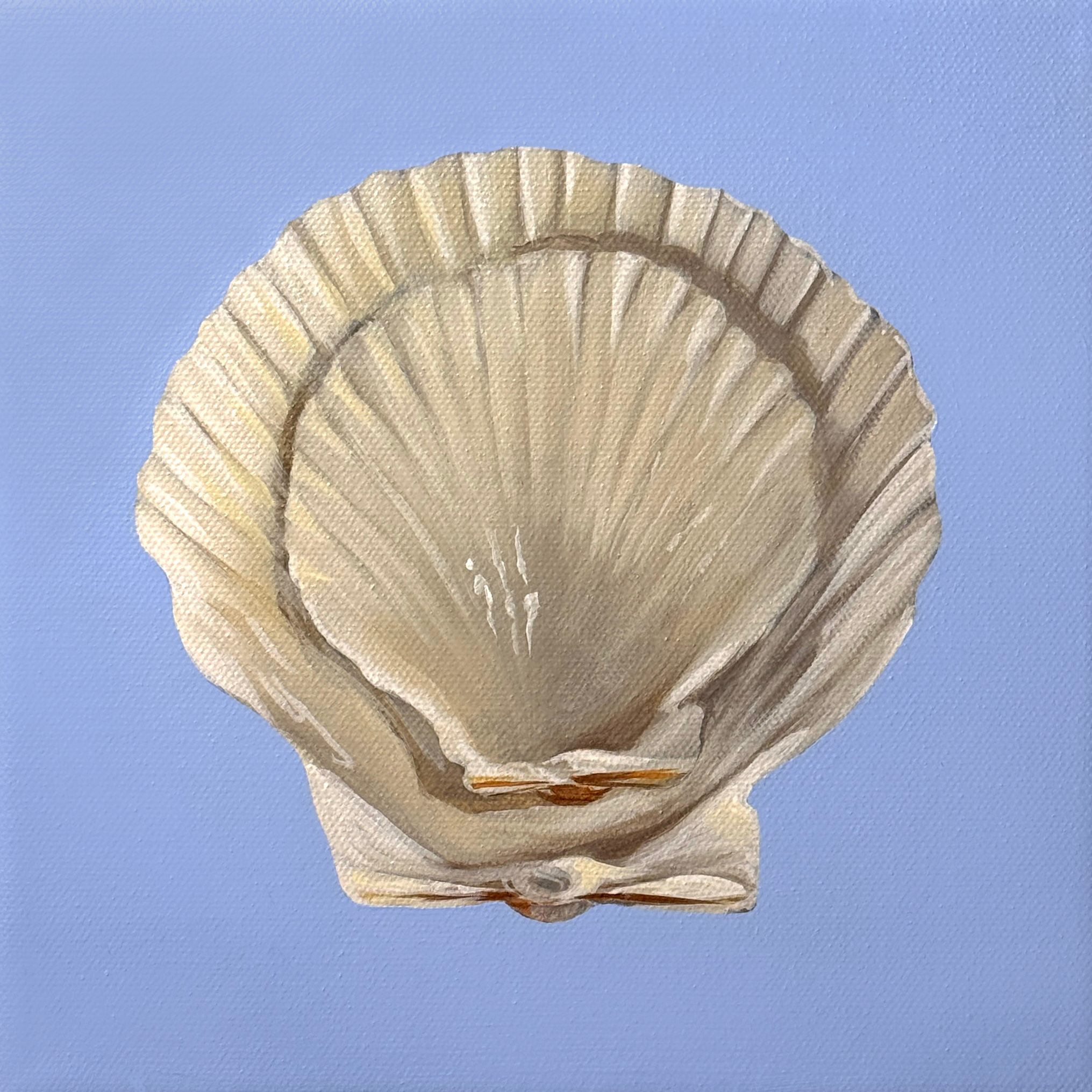 Shell Stack No. 4.png