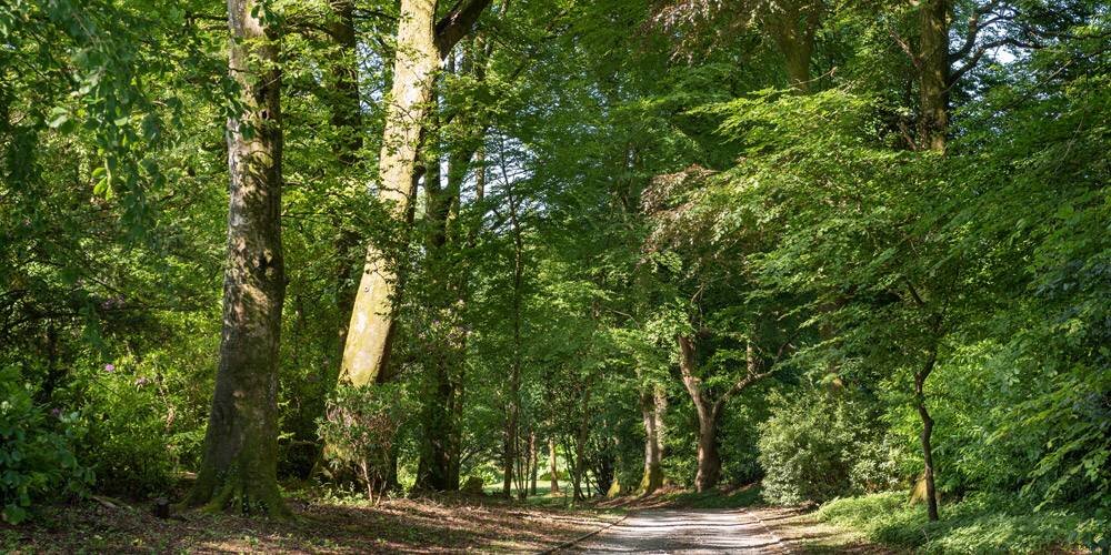 Devon_architects_manor_house_landscape_driveway.jpg