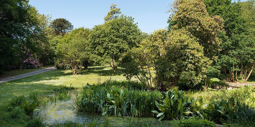 Devon_architects_manor_house_landscape_ponds.jpg