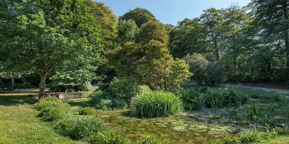 Devon_architects_manor_house_landscape.jpg
