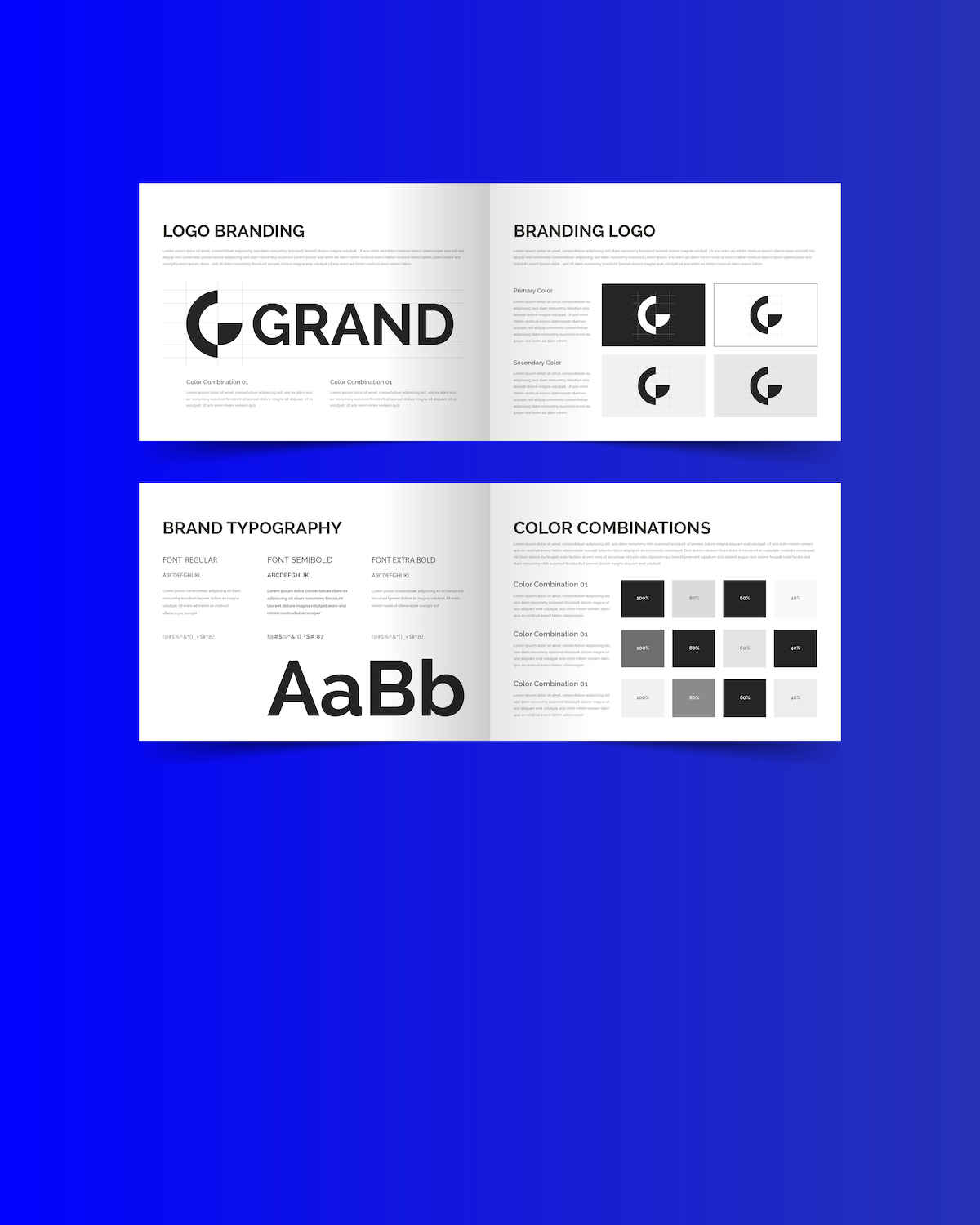 launch_v4_brandguide-05.png
