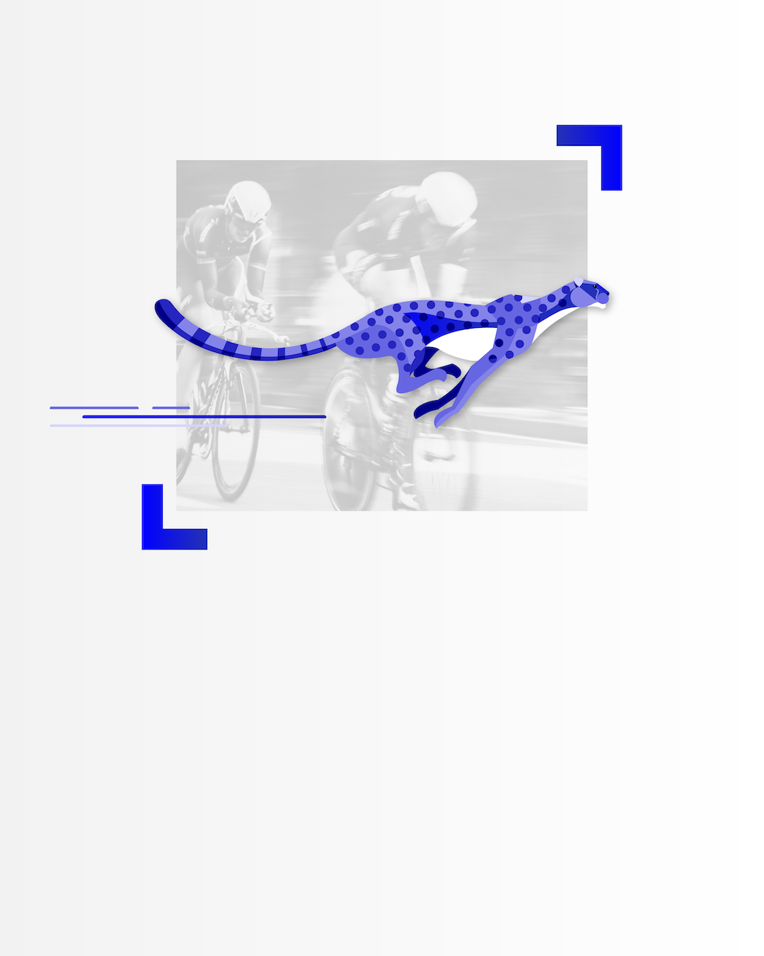speed cheetah