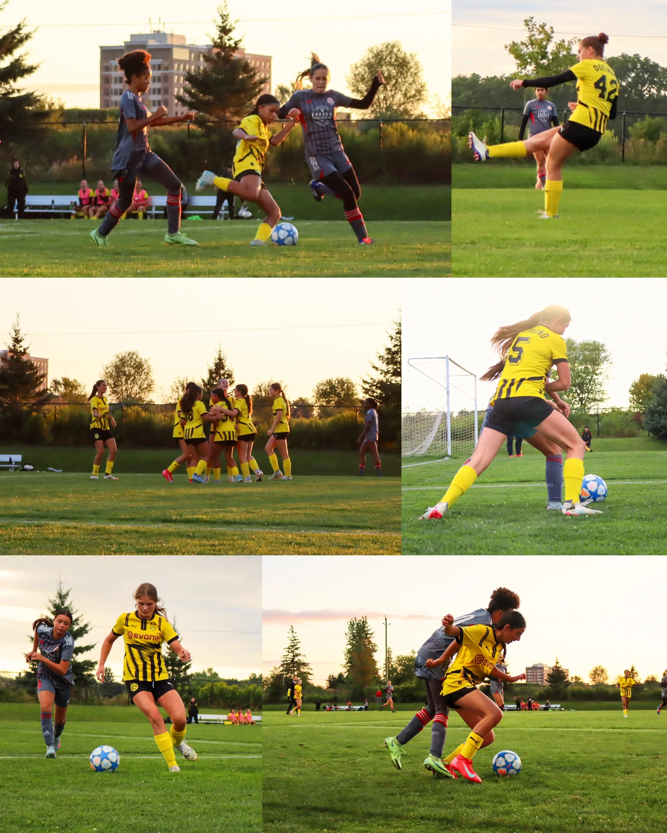 GU14-D.jpg
