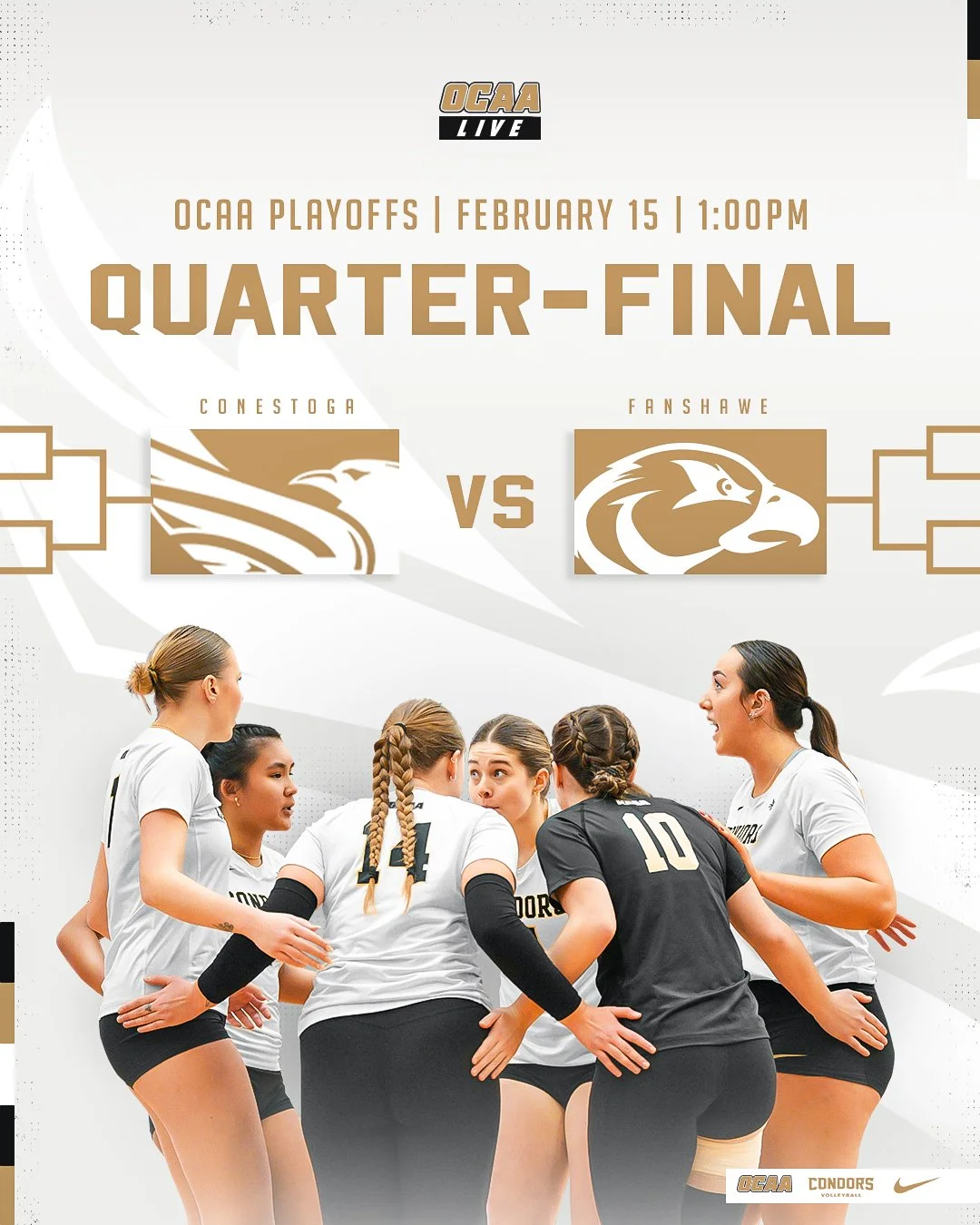 WVB-Quarter-Final.jpg