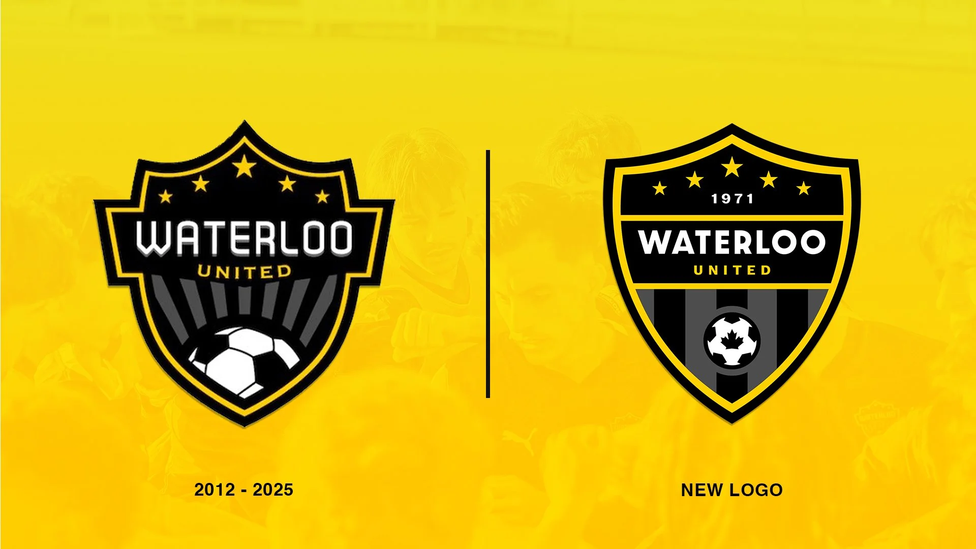 Compare-Logo-1.jpg