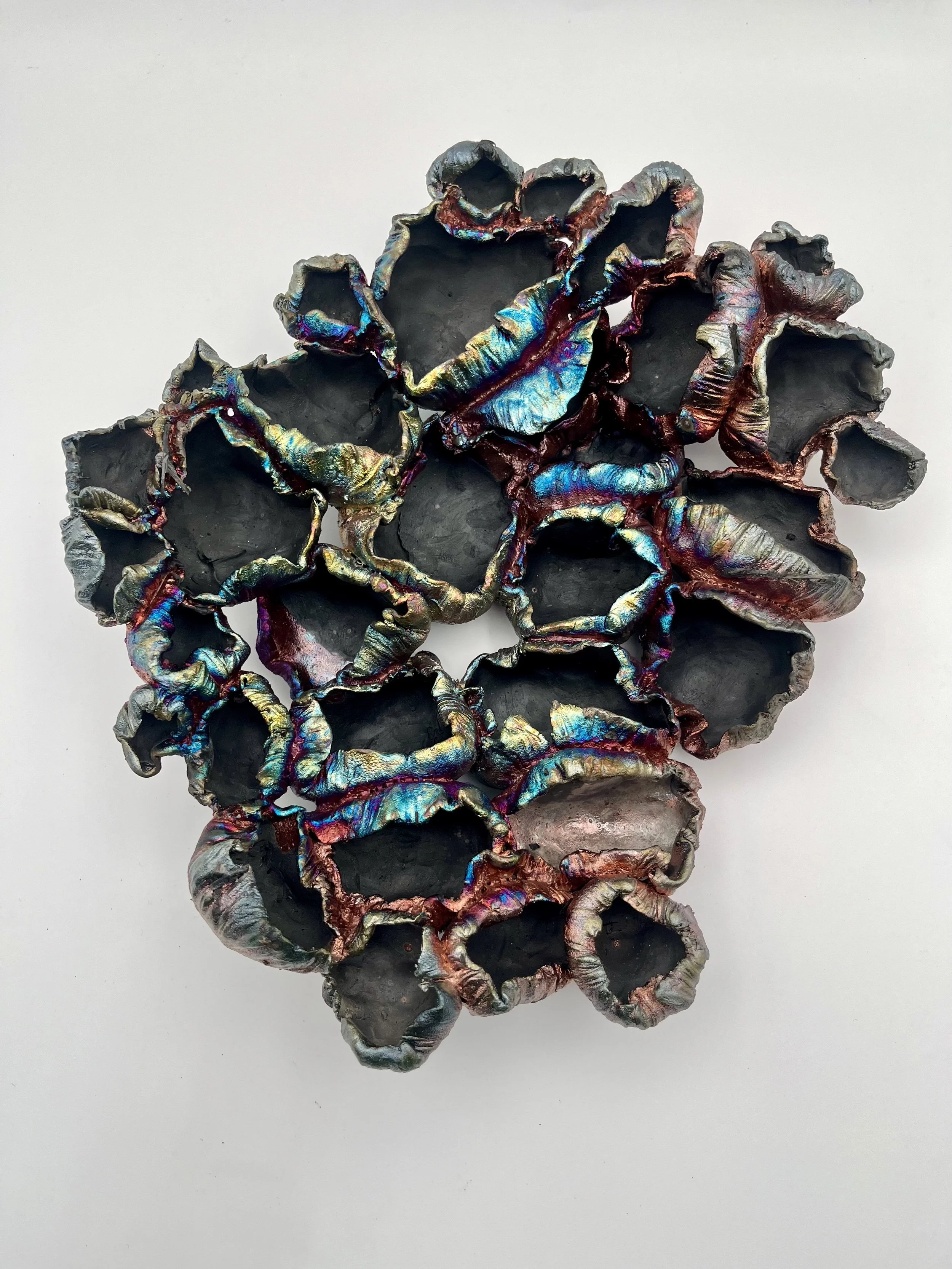 Barnacle Cluster: Raku, 
