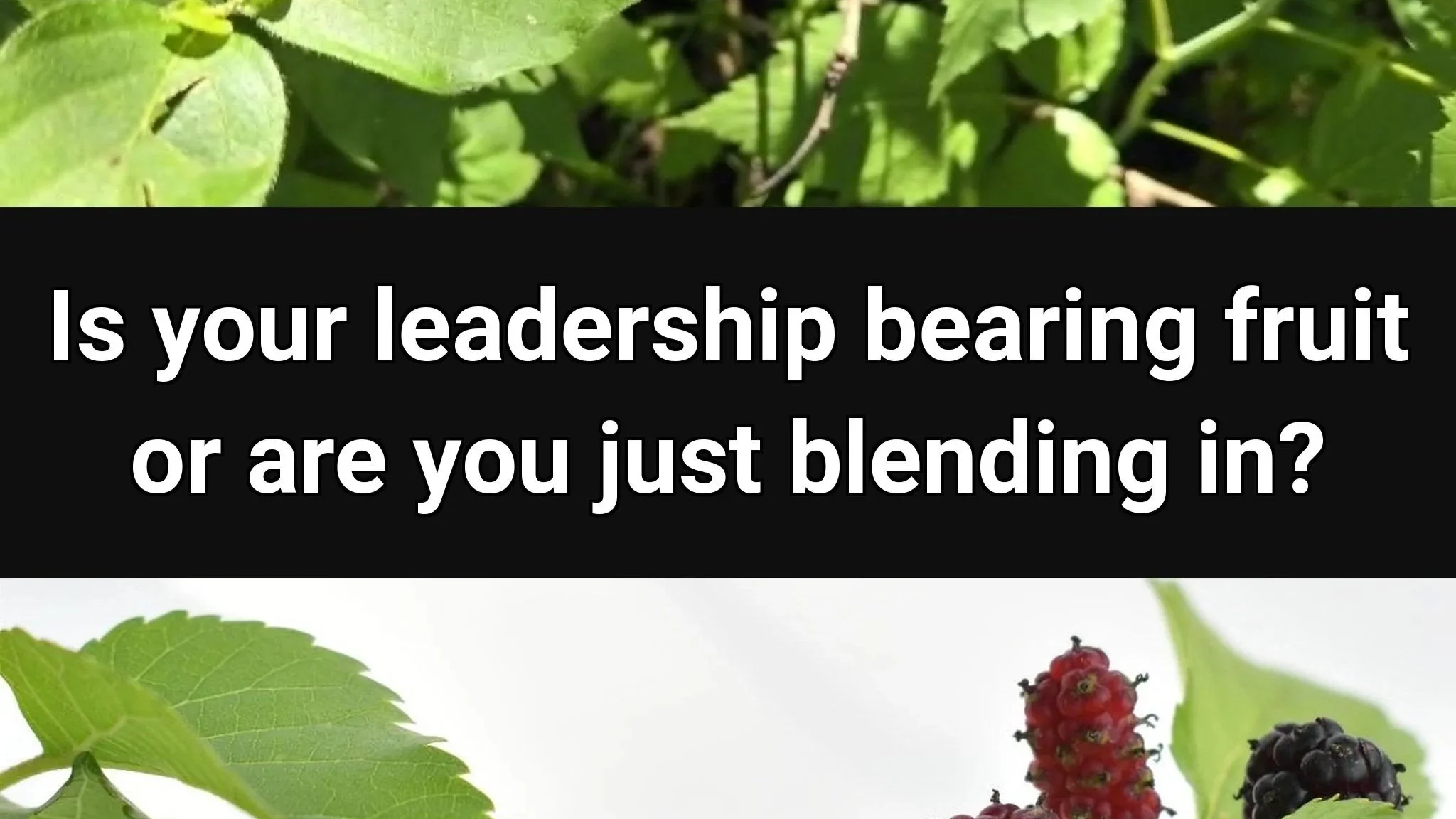 Is your leadership bearing fruit or are you just blending in?