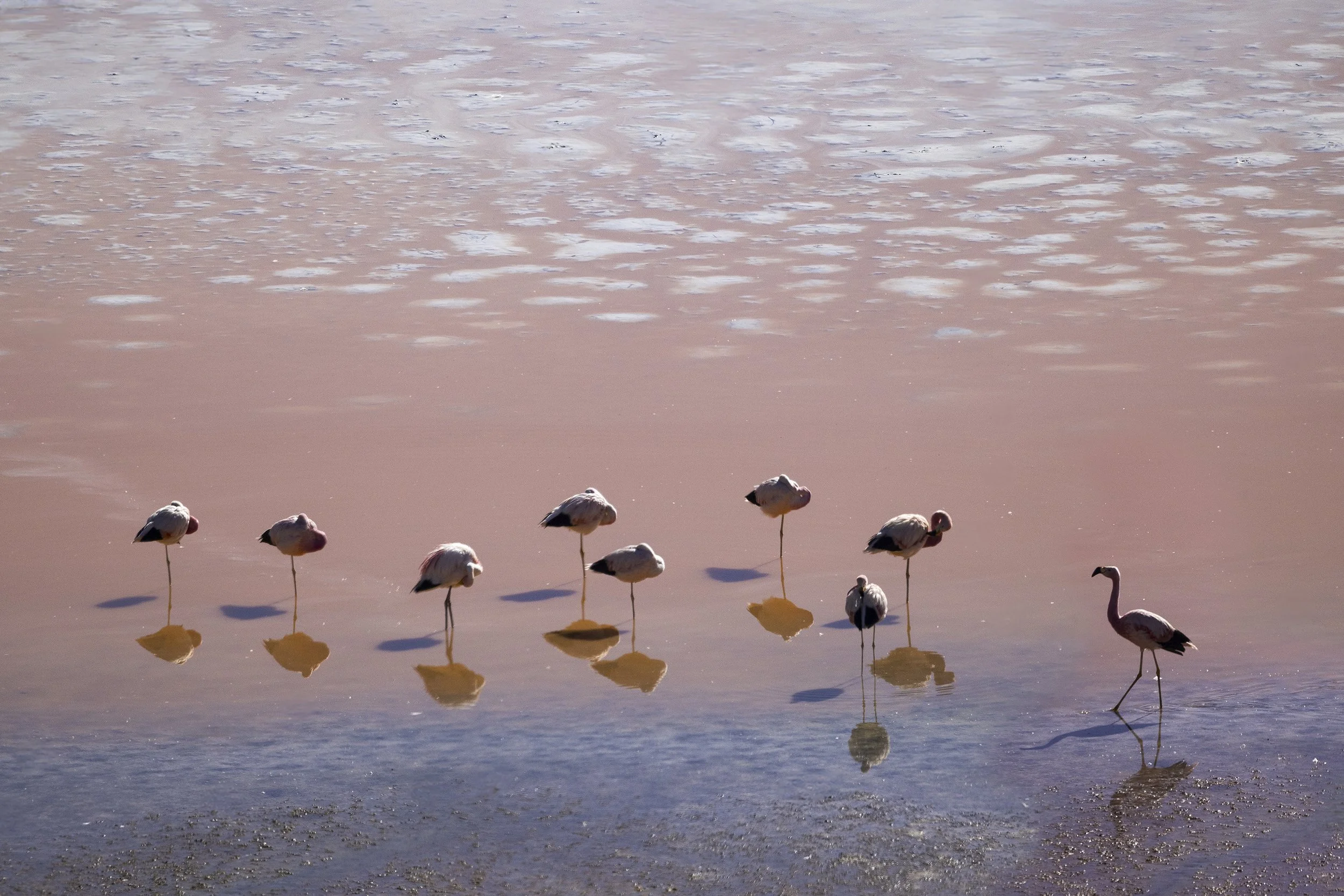 Untitled-2 Paul Zizka.JPG