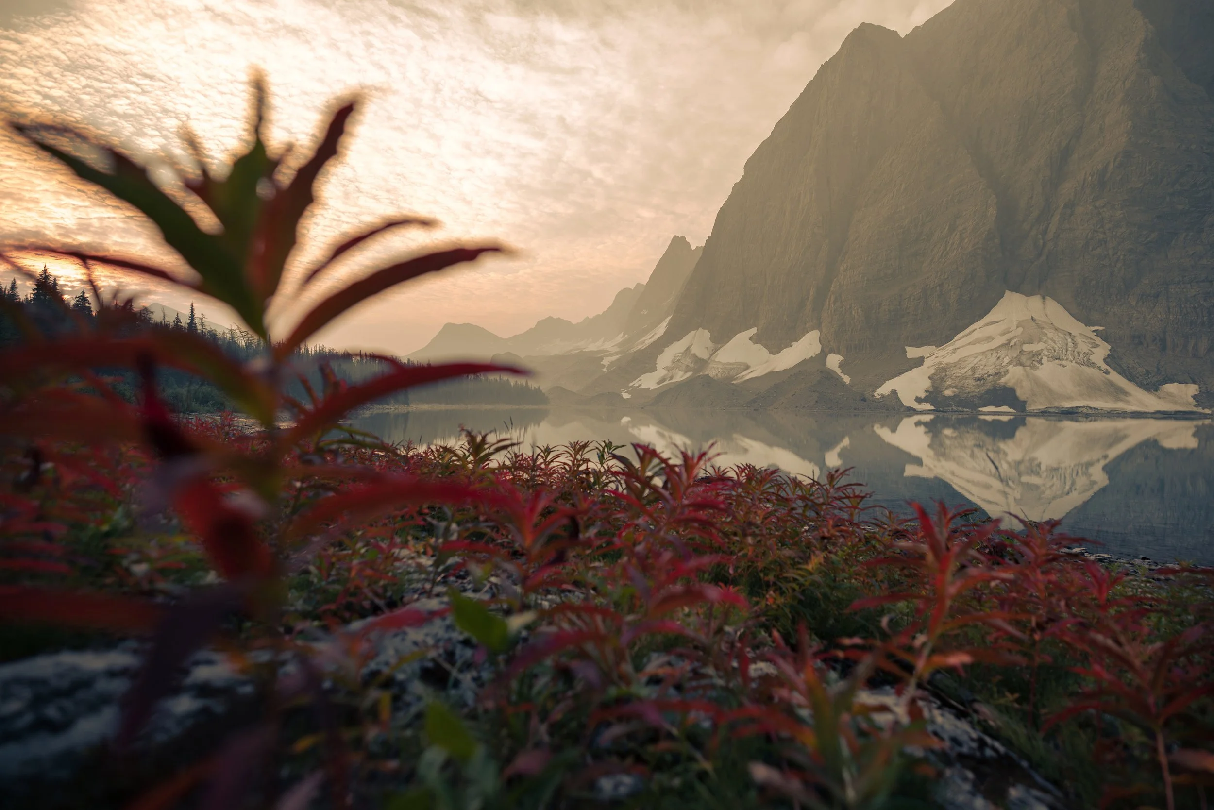 93A4D4B1-8F4B-4D9A-B950-C2669B9A957A Kris.jpeg