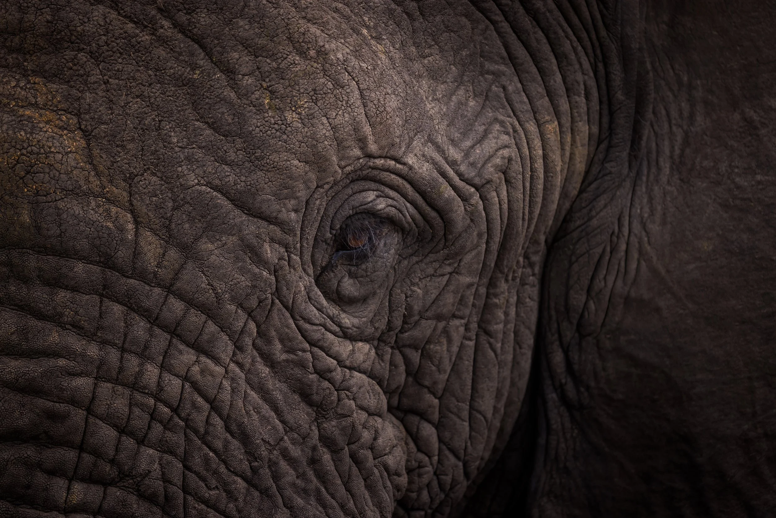 @kristopherandres Afica1 OFFBEAT Photography.jpeg