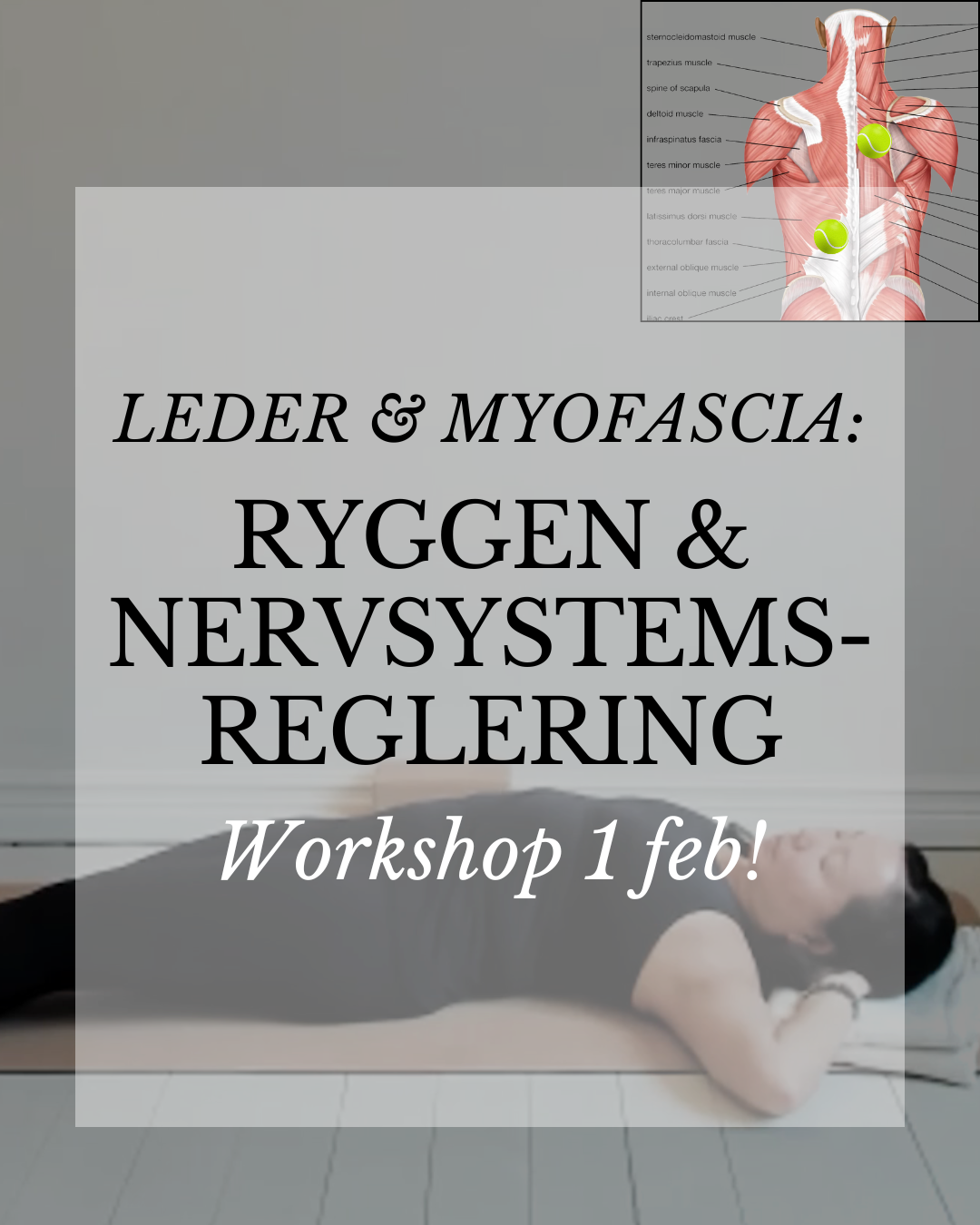 FRIGÖR LEDER &amp; MYOFASCIA - I MITTEN AV LIVET