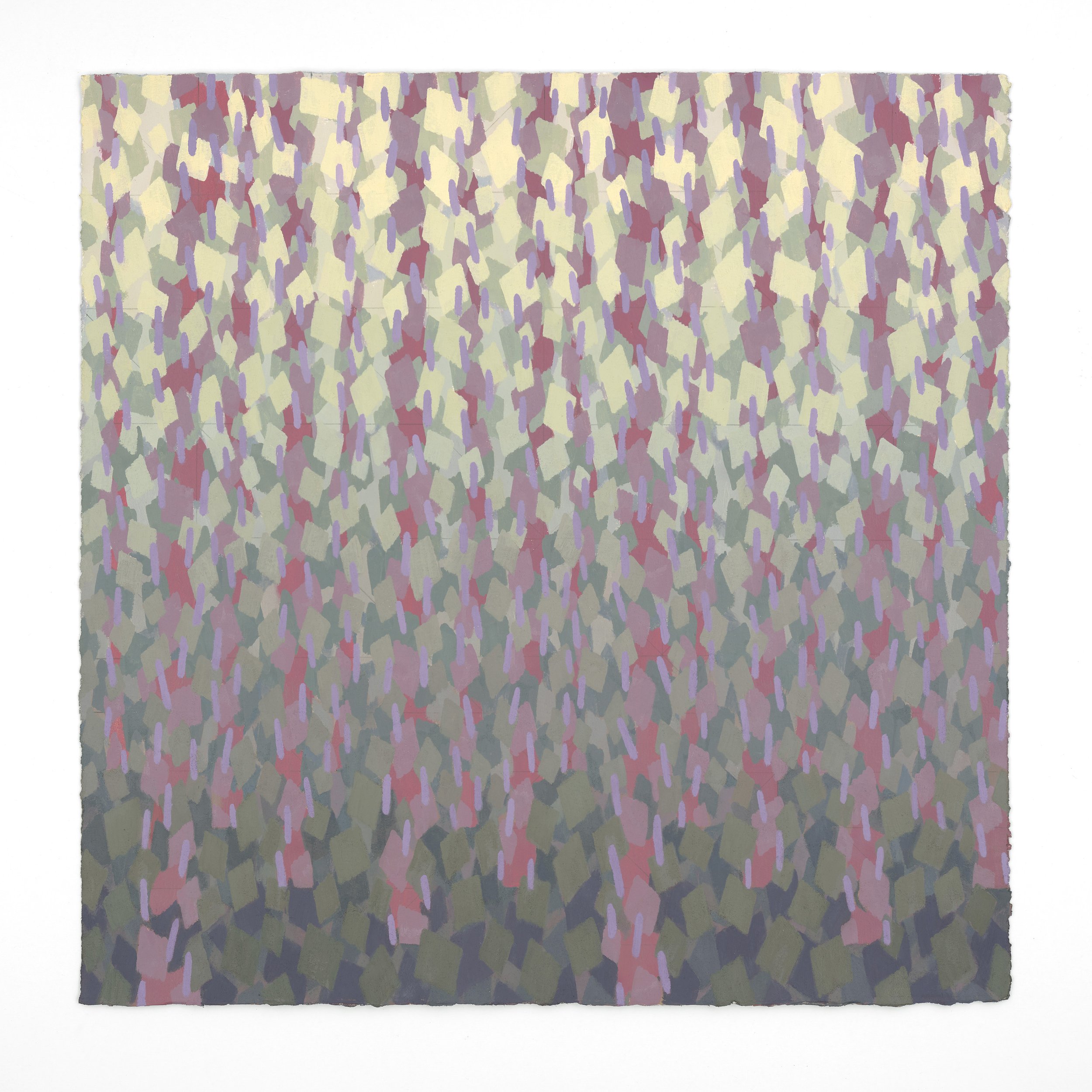 Rachael WREN 
 Daydream , 2026 
Oil on paper mounted on panel 
40 x 40 inches