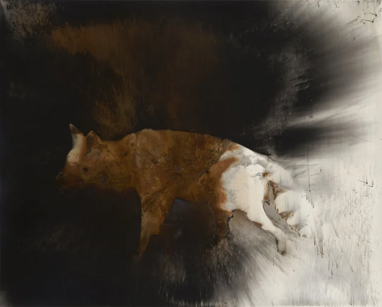 Coyote #5,   2016  
Gunpowder generated gelatin silver print  
16 x 20 inches  
Framed
