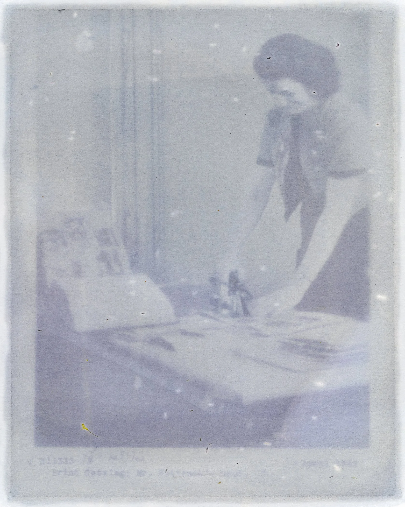 Amanda MARCHAND & Leah SOBSEY 
 Print Catalog: Mr. Wittrock’s Dept. N11333 – Cala Lily & Pansy, , 2026 
Edition 1 of 3 + 1 AP 
Archival pigment print. 
20 x 16 inches (50.8 x 40.6 cm)br 
RWFA 19994