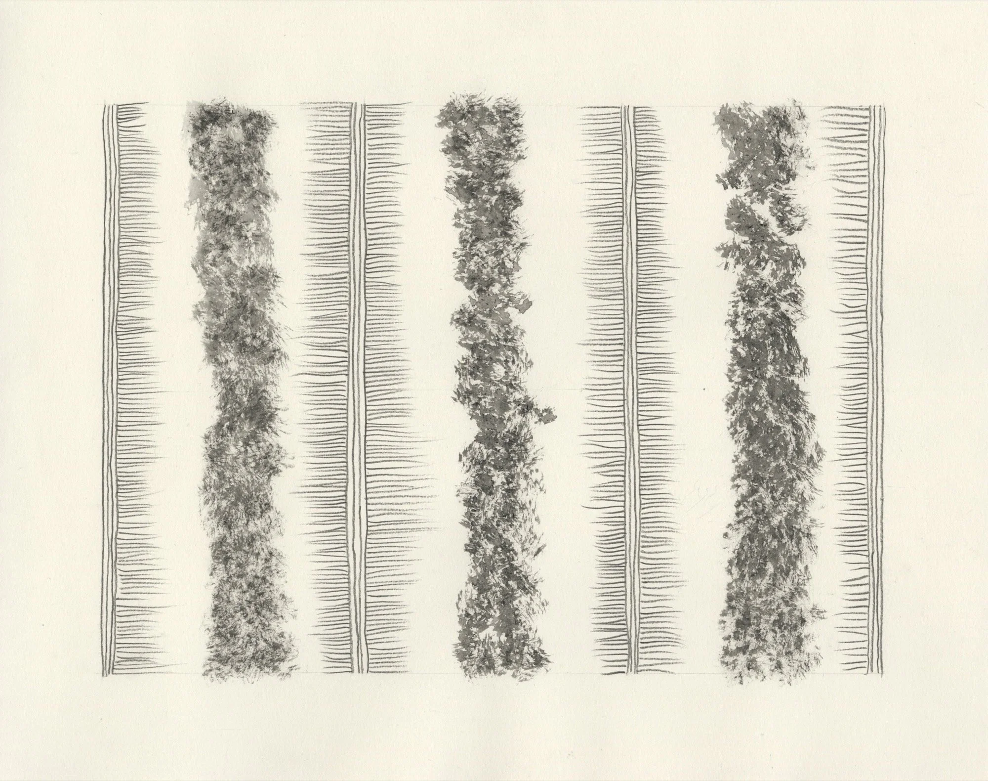 Margie NEUHAUS 
 Untitled (2021.6.18) , 2021 
Graphite on paper 
Signed and dated in pencil on the verso. 
11 x 14 inches (27.9 x 35.6 cm) Sheet 
RWFA 19957 