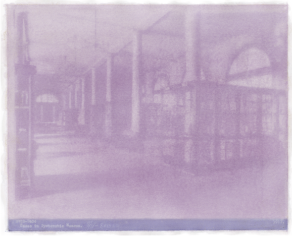 Amanda MARCHAND & Leah SOBSEY 
 Cases in Systematic Museum N769 - Pink & Purple Tulip , 2026 
Edition 1 of 3 + 1 AP 
Archival pigment print collage. 
30 x 38 inches (76.2 x 96.5 cm) Sheet 
RWFA 20066