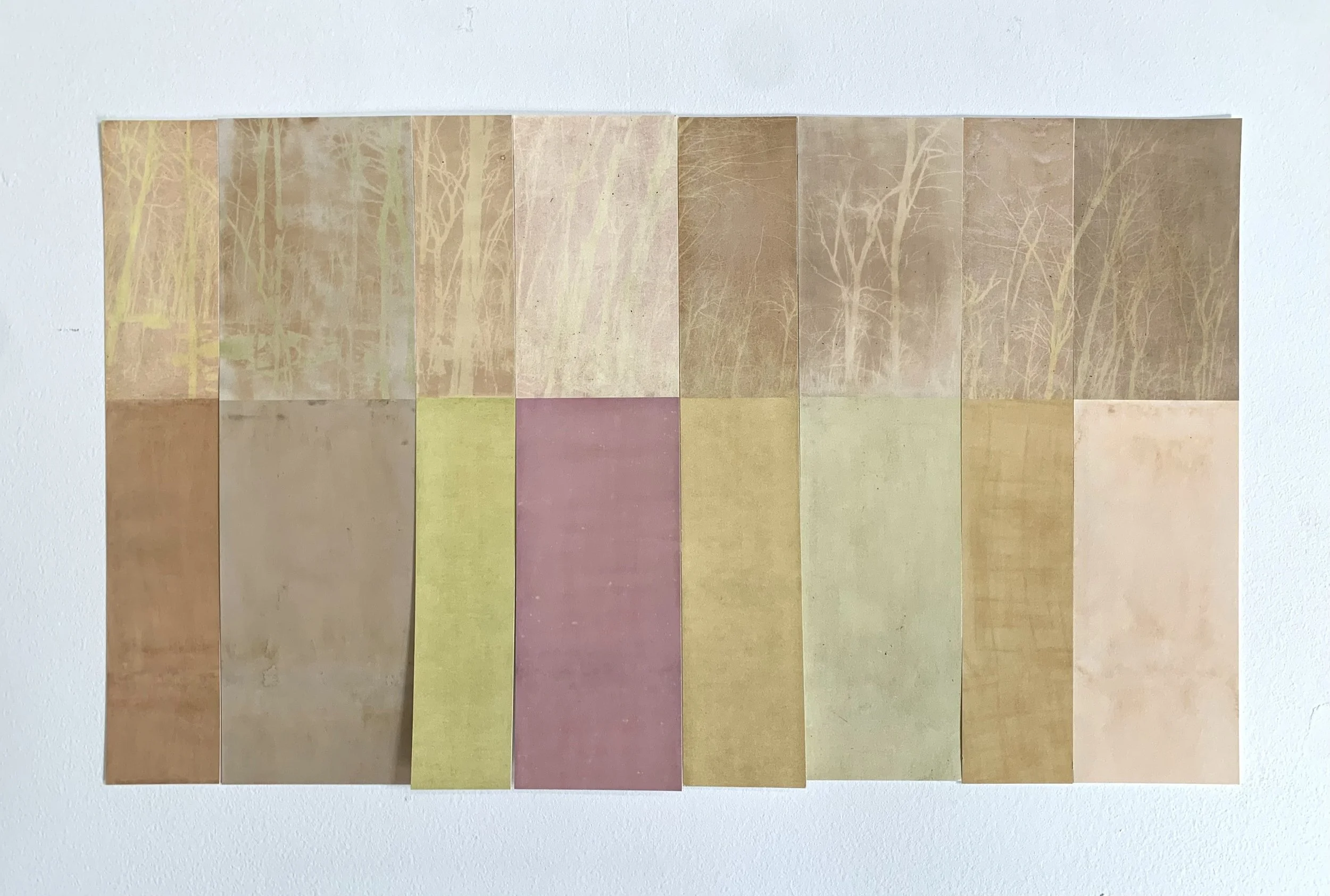 Amanda MARCHAND & Leah SOBSEY 
 Hemlock Grove , 2026 
Edition 1 of 3 + 1 AP 
Archival pigment print collage. 
42 x 73 inches (106.7 x 185.4 cm) Overall 
RWFA 20034