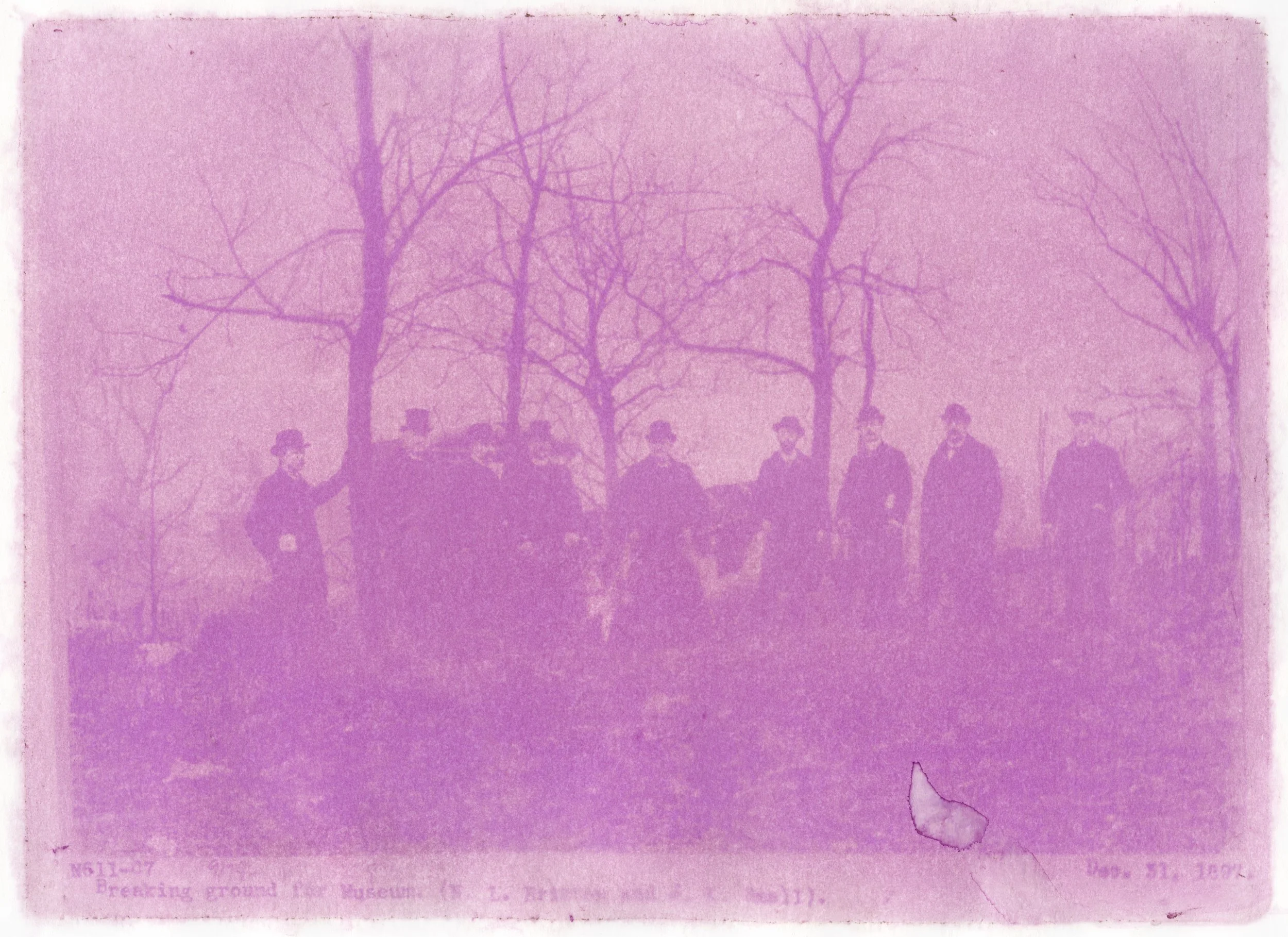 breaking ground xmas cactus_MOCL_v3.jpg