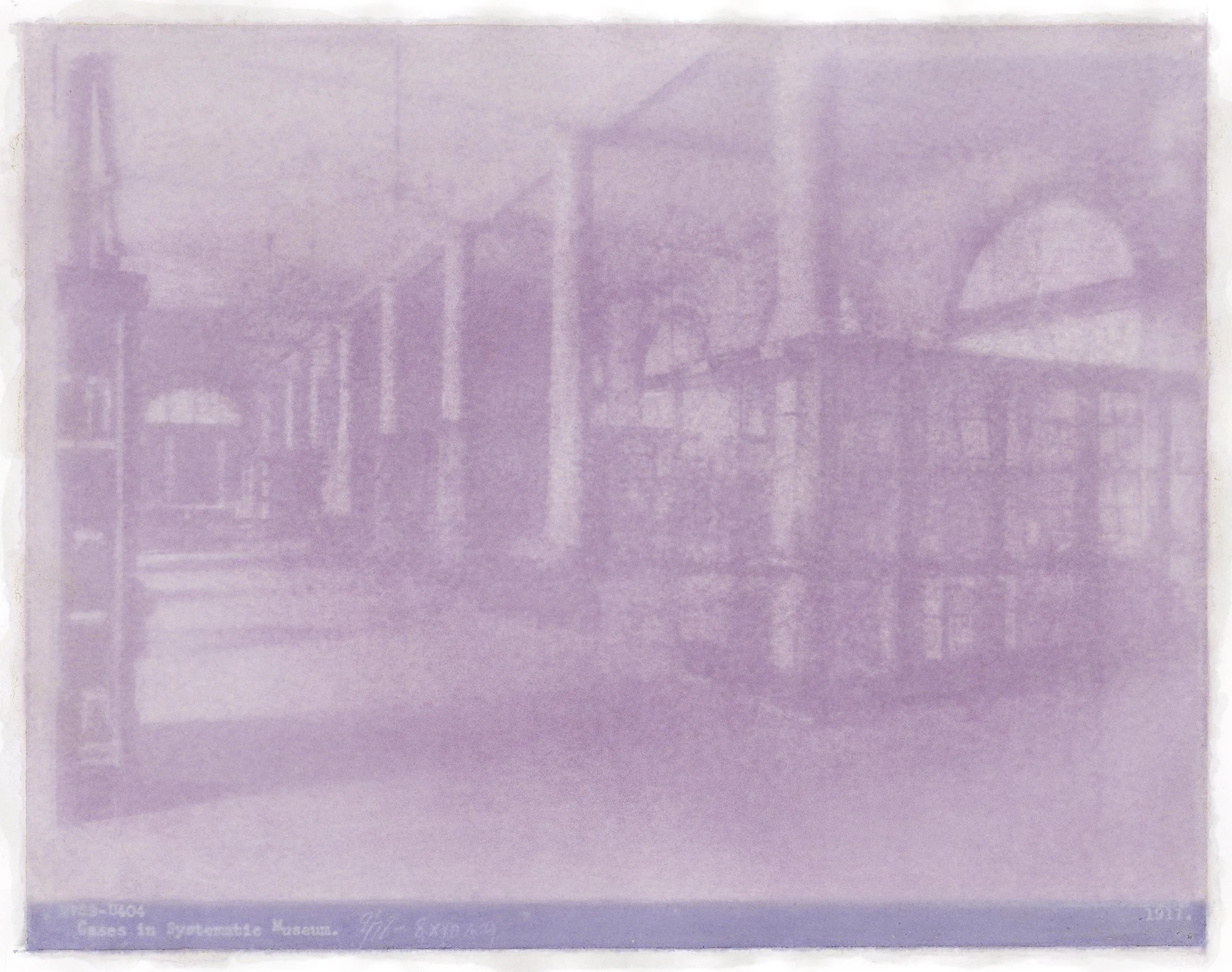 Amanda MARCHAND & Leah SOBSEY 
 Cases in Systematic Museum N769 - Pink & Purple Tulip , 2026 
Edition 1 of 3 + 1 AP 
Archival pigment print collage. 
30 x 38 inches (76.2 x 96.5 cm) Sheet 
RWFA 20066