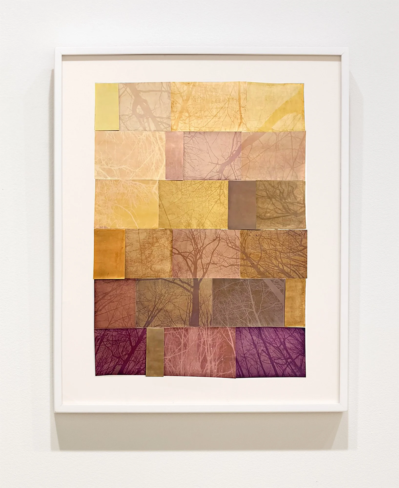 Amanda MARCHAND & Leah SOBSEY 
 Forest Family - Maple, Dogwood, Cherry, Oak, Hickory, Beech, Ginkgo, Pine, Smoketree,
Sweetgum , 2026 
Edition 1 of 3 + 1 AP 
Archival pigment print collage. 
66 1/4 x 51 1/8 inches (168.3 x 129.9 cm) Sheet 
RWFA 19964