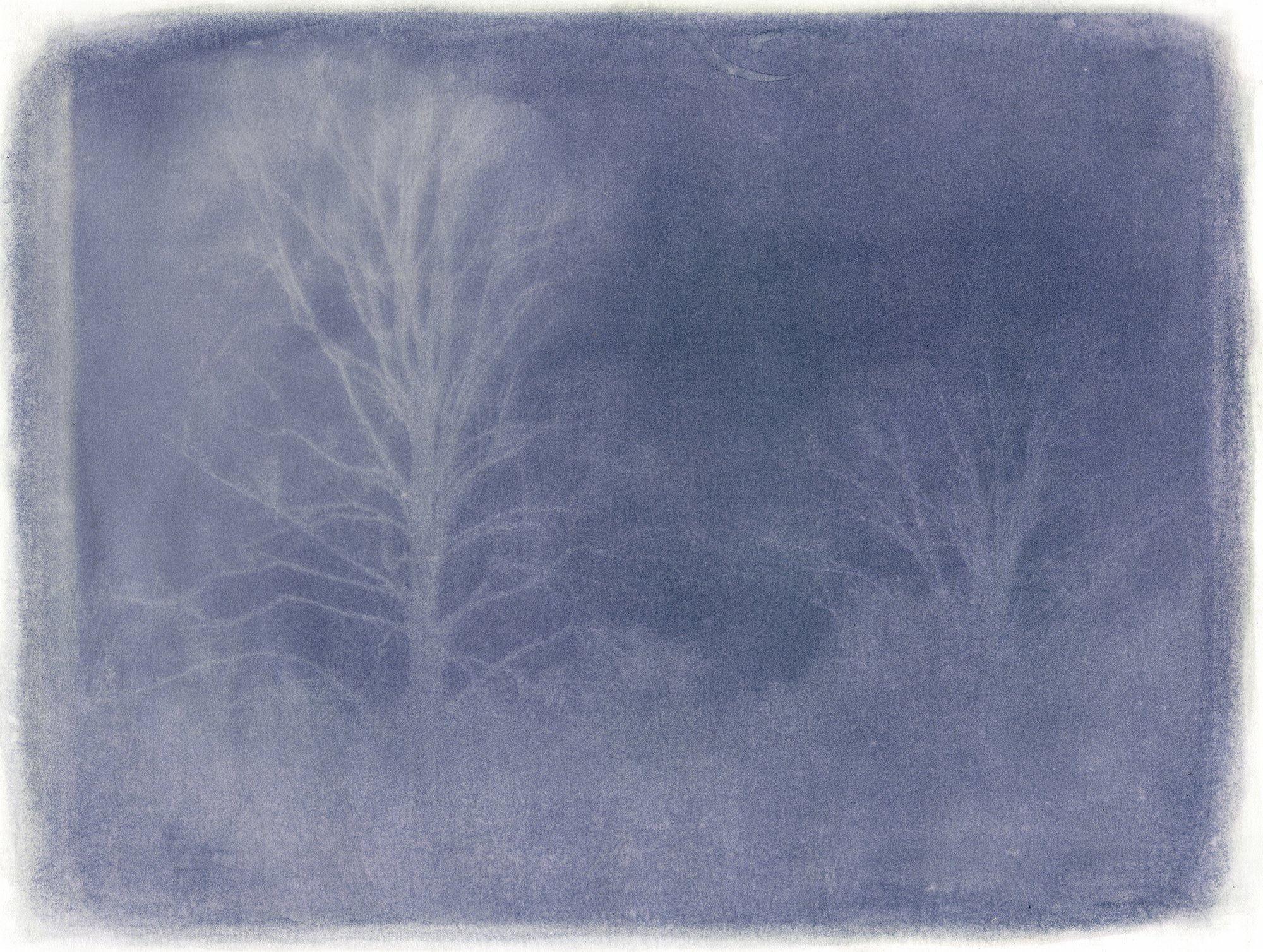 Amanda MARCHAND & Leah SOBSEY 
 Liriodendron 7192 - Purple Iris , 2026 
Edition 1 of 3 + 1 AP 
Archival pigment print collage. 
30 x 40 inches (76.2 x 101.6 cm) Sheet 
RWFA 20058