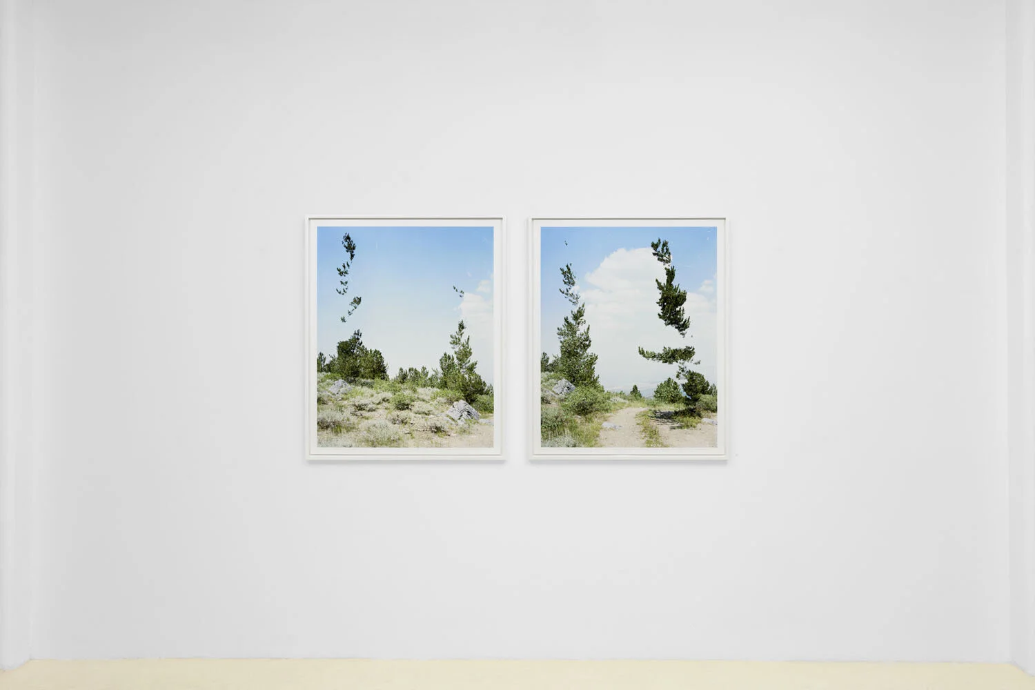 Installation+08sml.jpg
