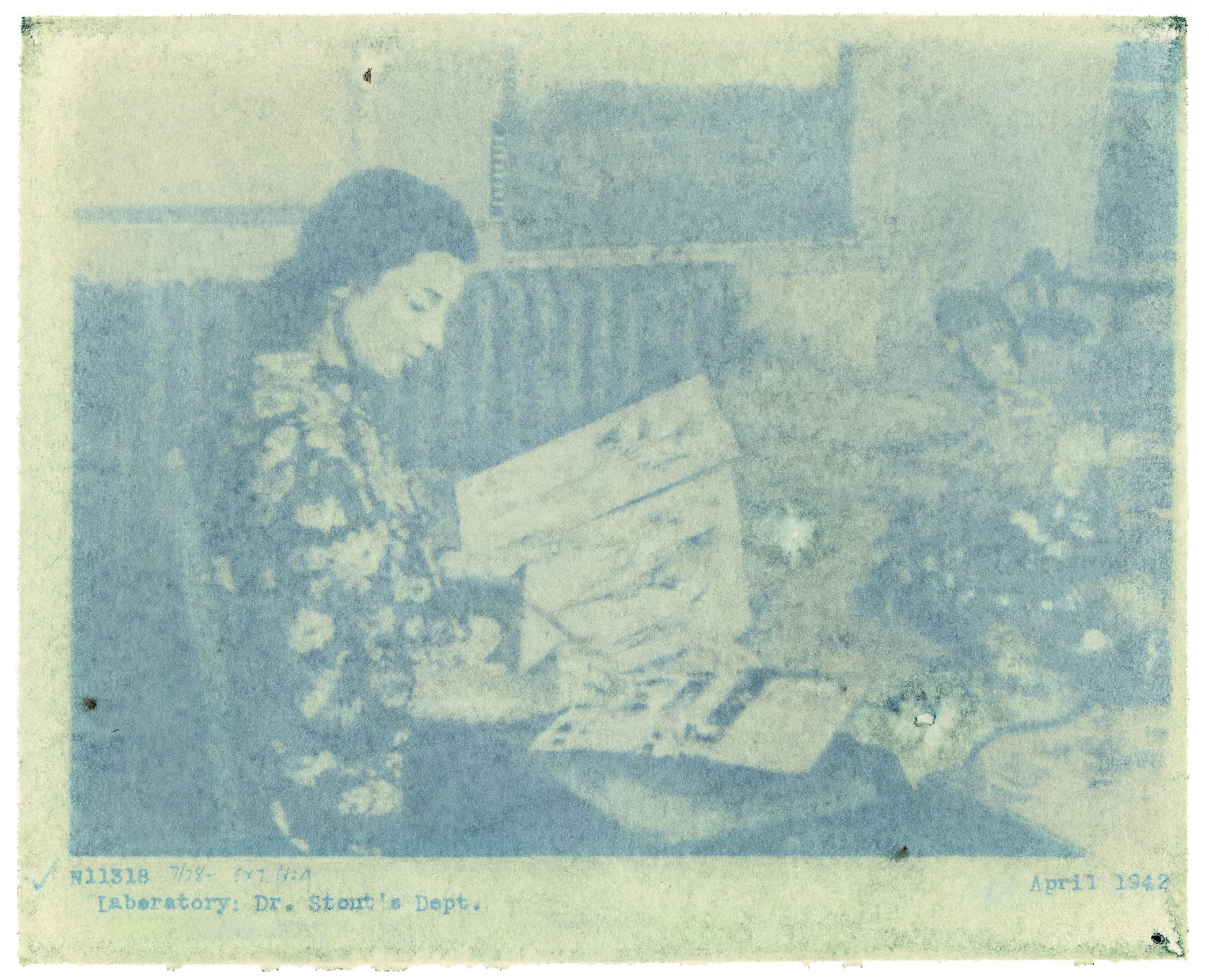 Amanda MARCHAND & Leah SOBSEY 
 Laboratory – Dr. Stout’s Dept. N11318 – Pansy & Carnation , 2026 
Edition 1 of 3 + 1 AP 
Archival pigment print. 
14 1/2 x 18 inches (36.8 x 45.7 cm) Sheet 
RWFA 20074