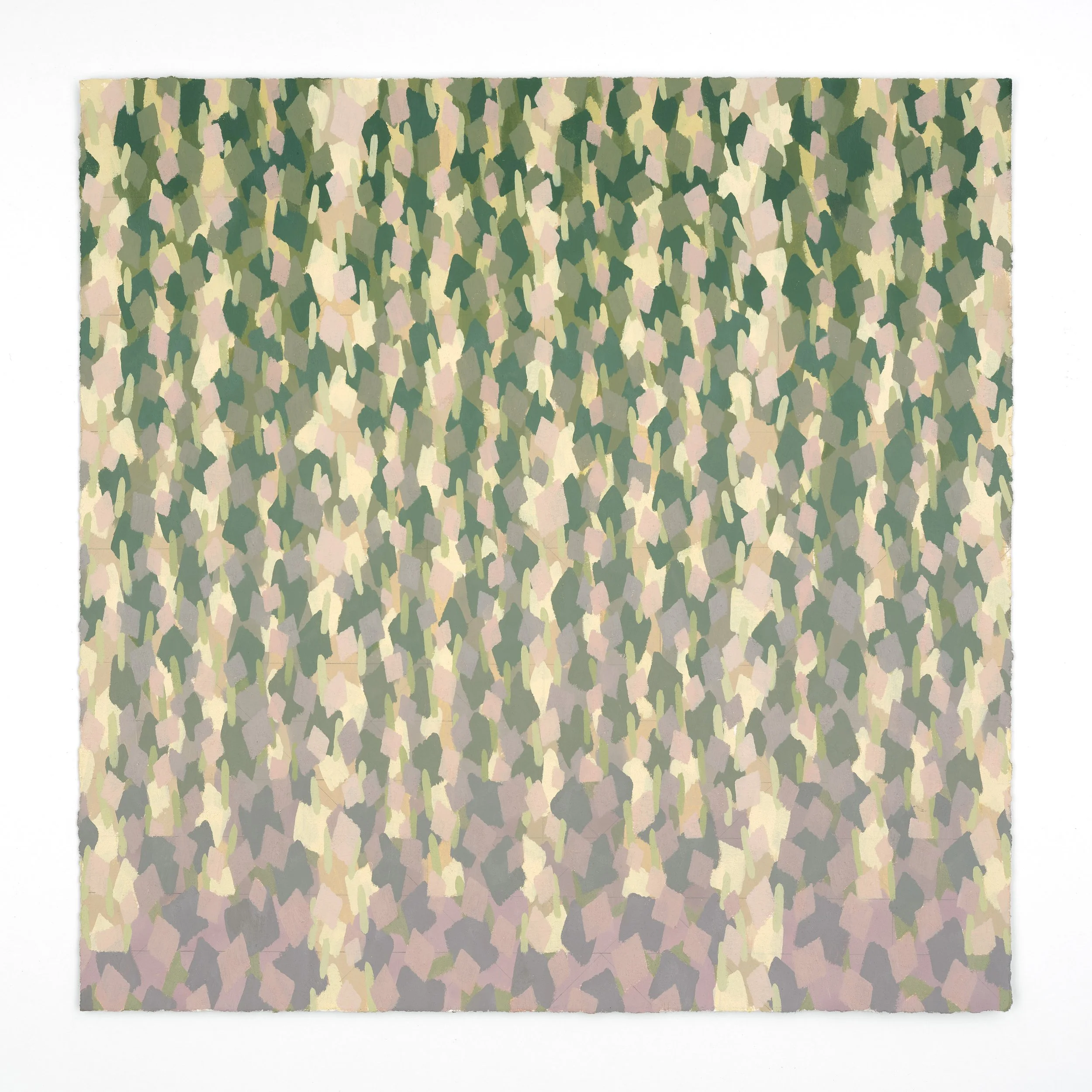 Rachael WREN 
 Bright Side , 2026 
Oil on paper 
20 x 20 inches