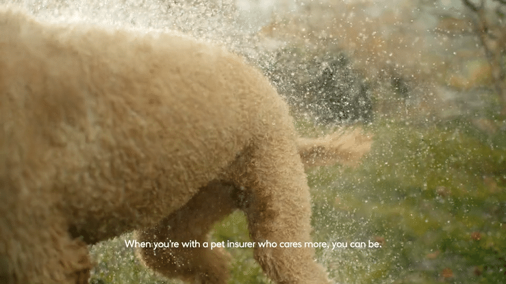 MORE THAN x Worry Less, Live More