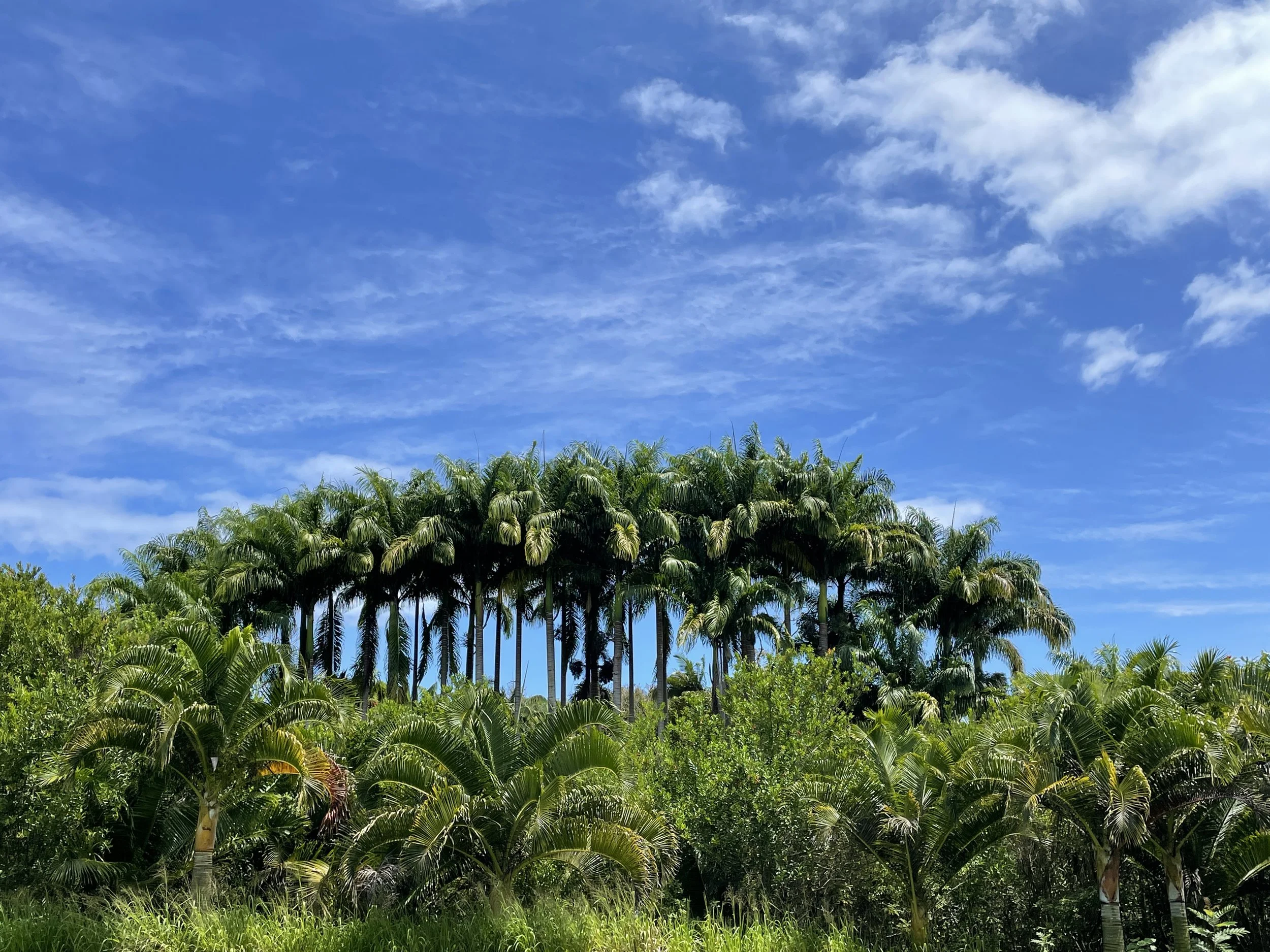 House — Old Onomea Hānai Farm