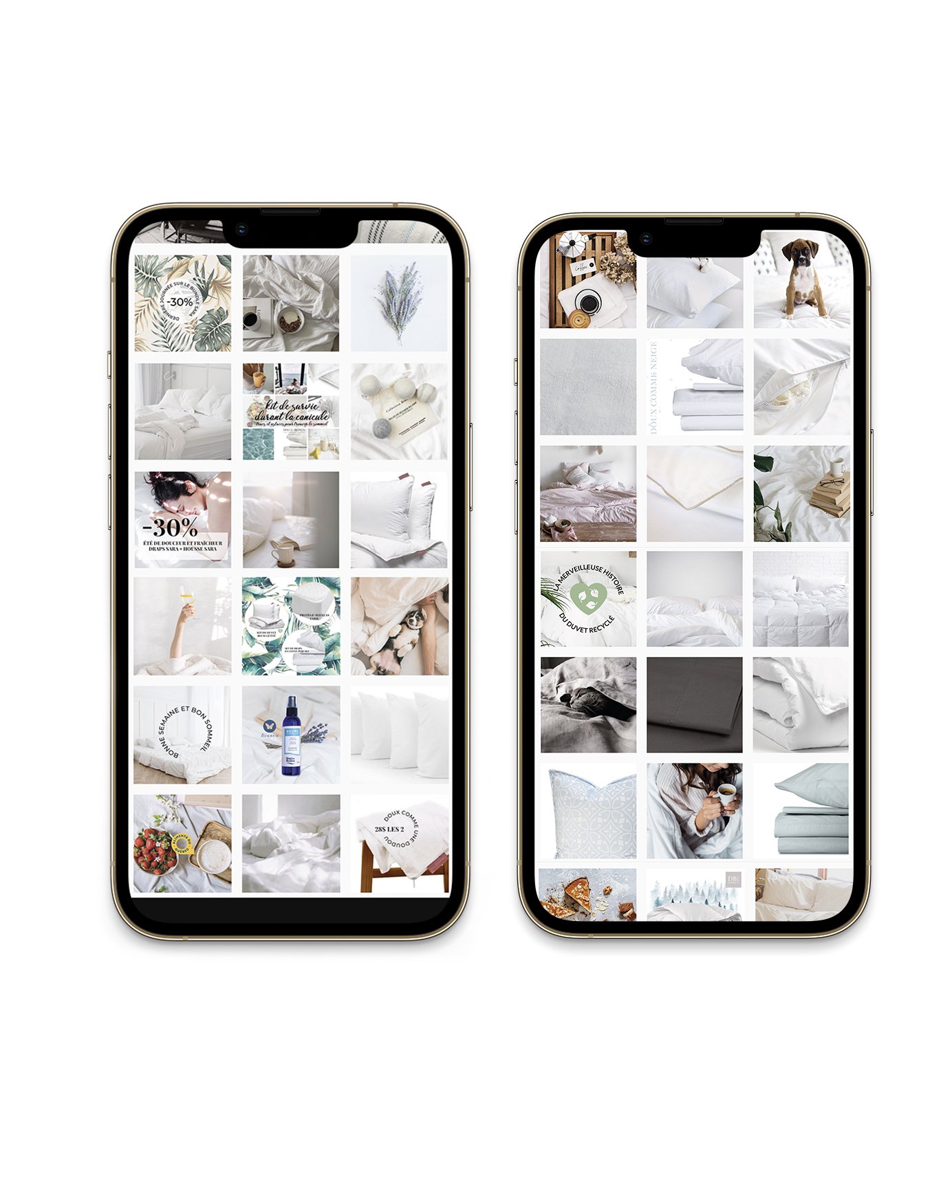iphone-13-pro-max-mockup_freebie.jpg