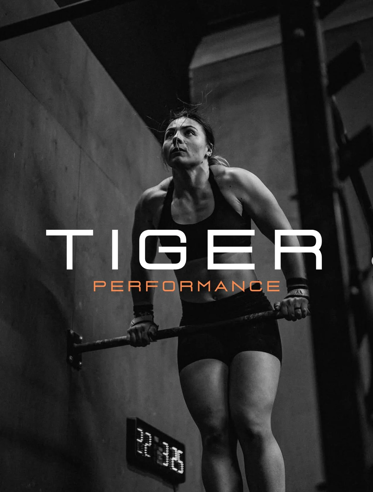 tiger-logo.jpg