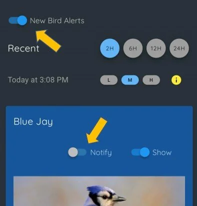 Notifications screenshot.jpg