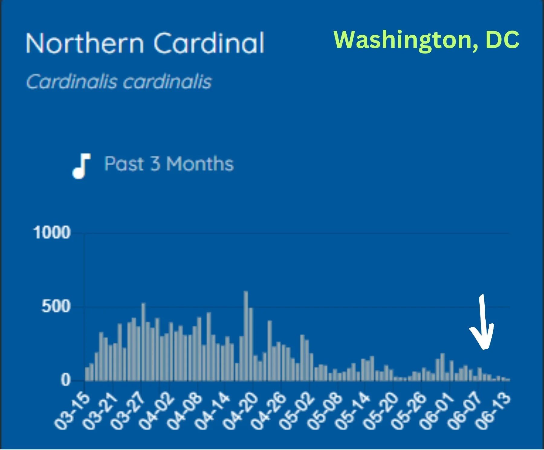 DC Cardinal  June 2023 crop.jpg