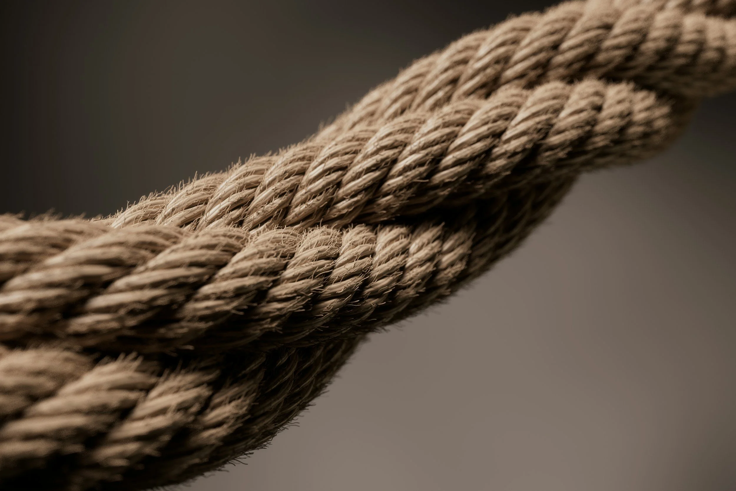 A rope made of multiple braids. How life coaching can complement therapy and help turn insight into action.