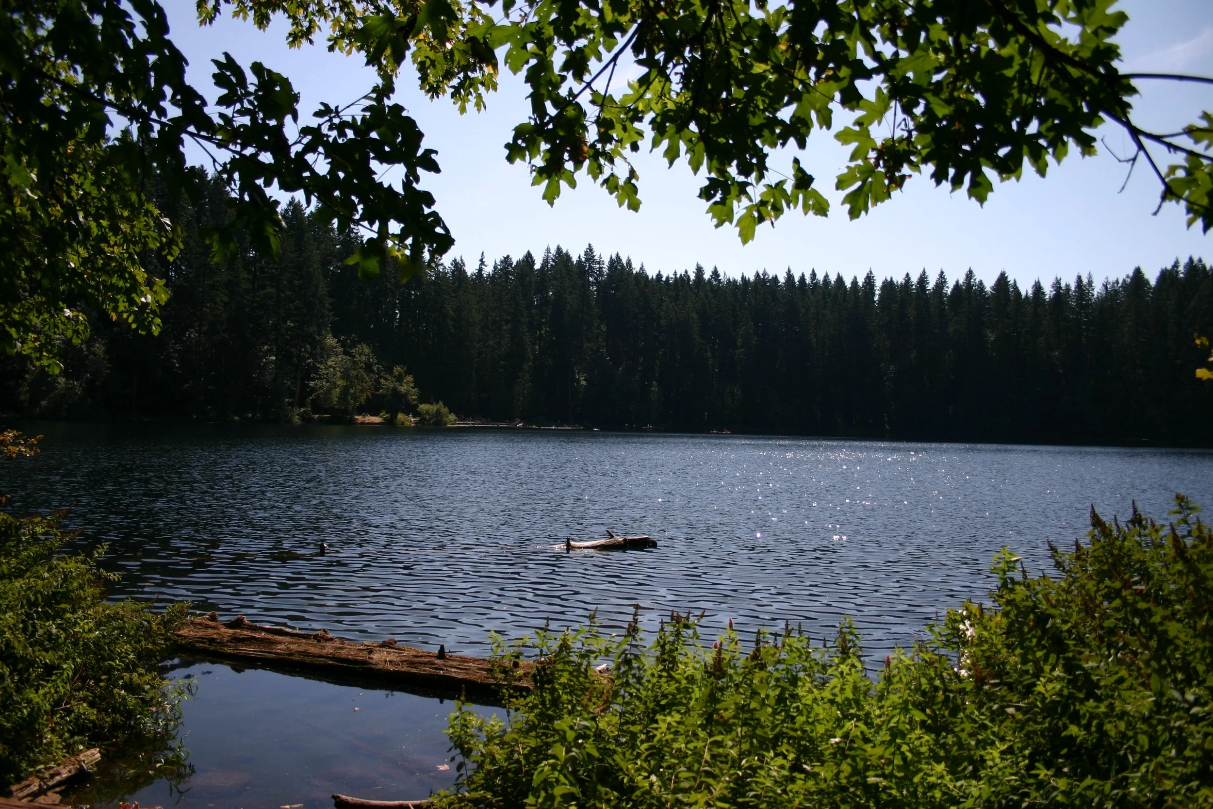 Custom Home Design &amp; Construction in Battleground, WA