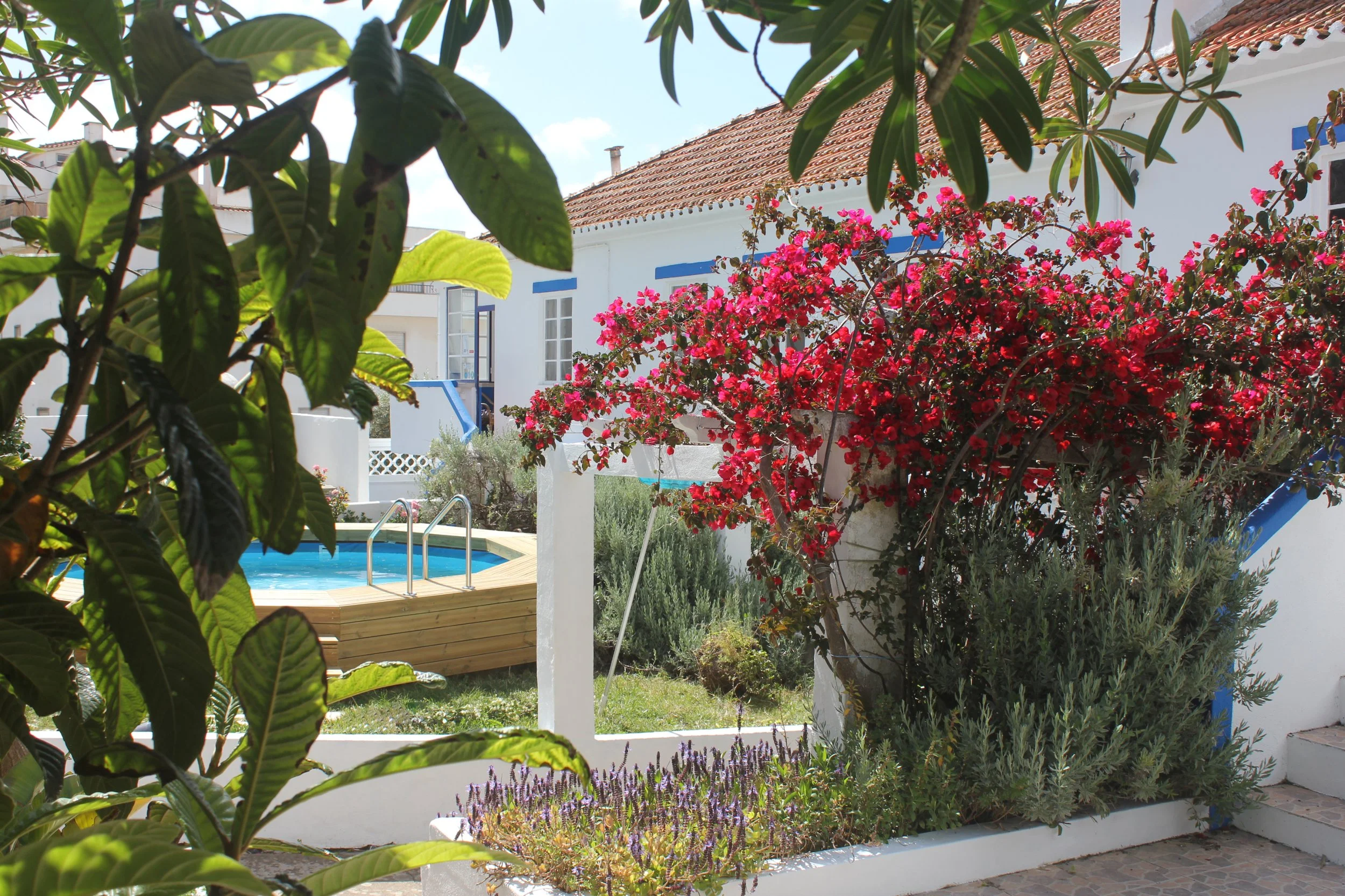 Garden 1.jpg