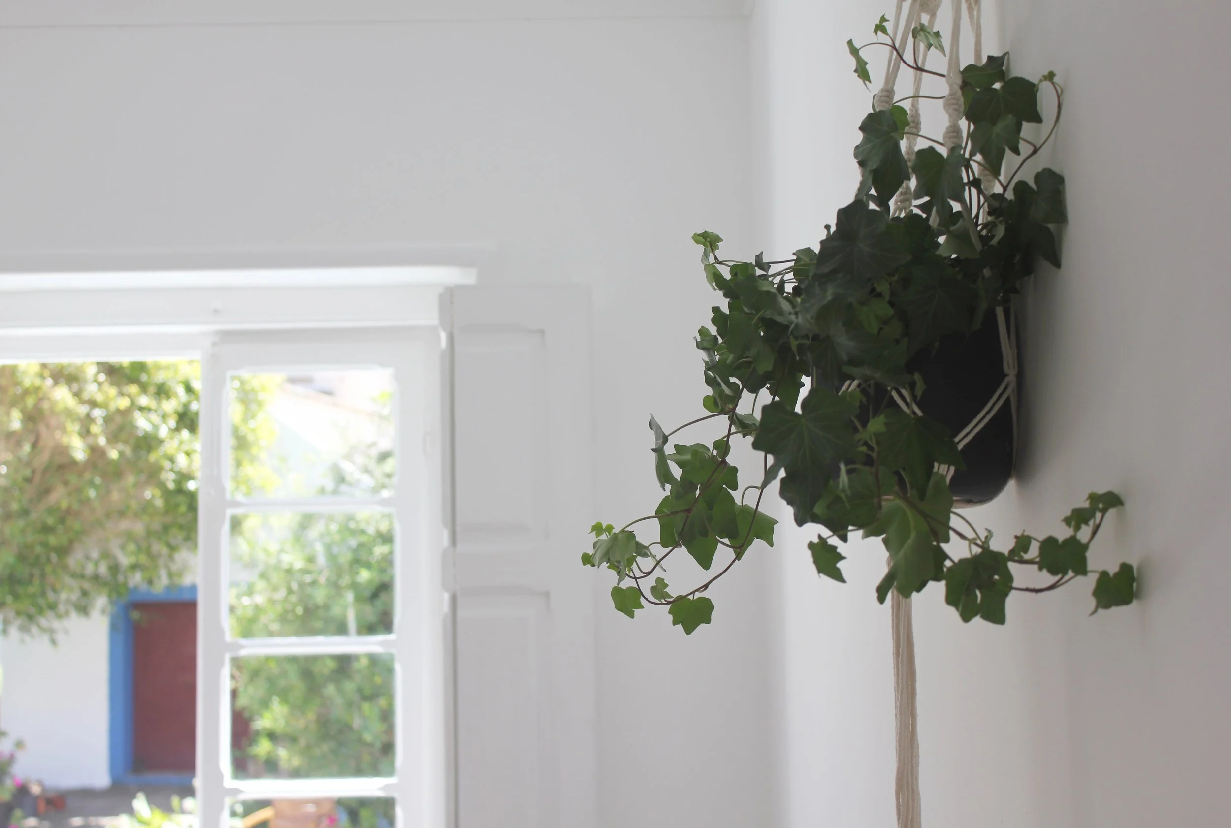 Room 2 plant detail .jpg